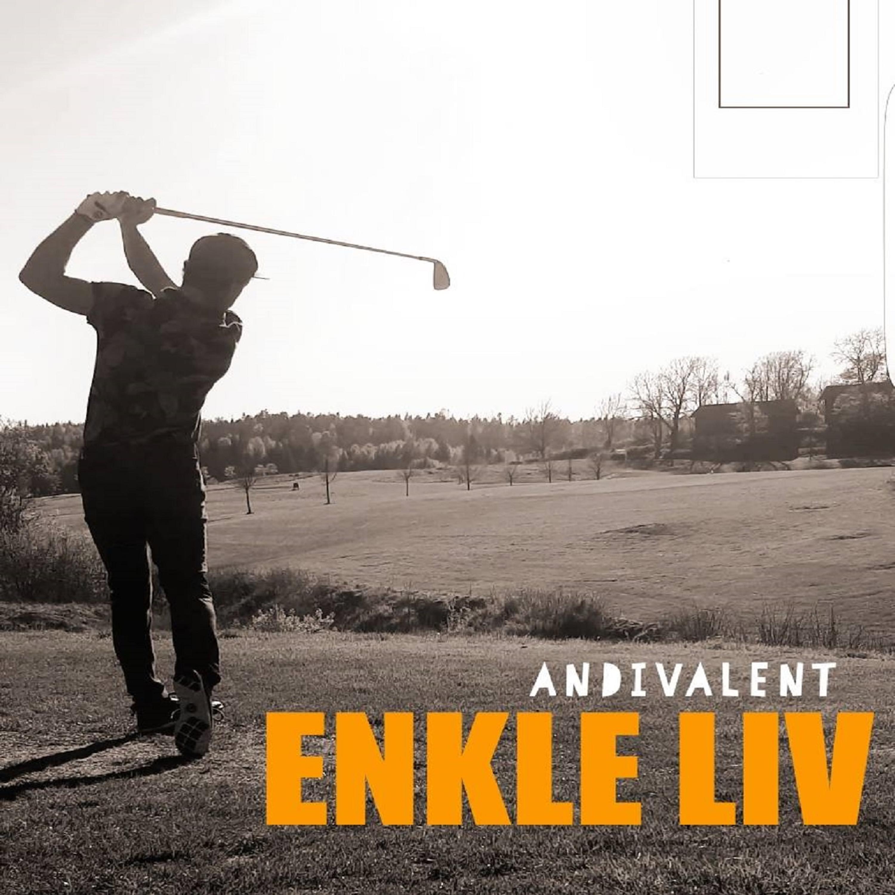 Постер альбома Enkle Liv