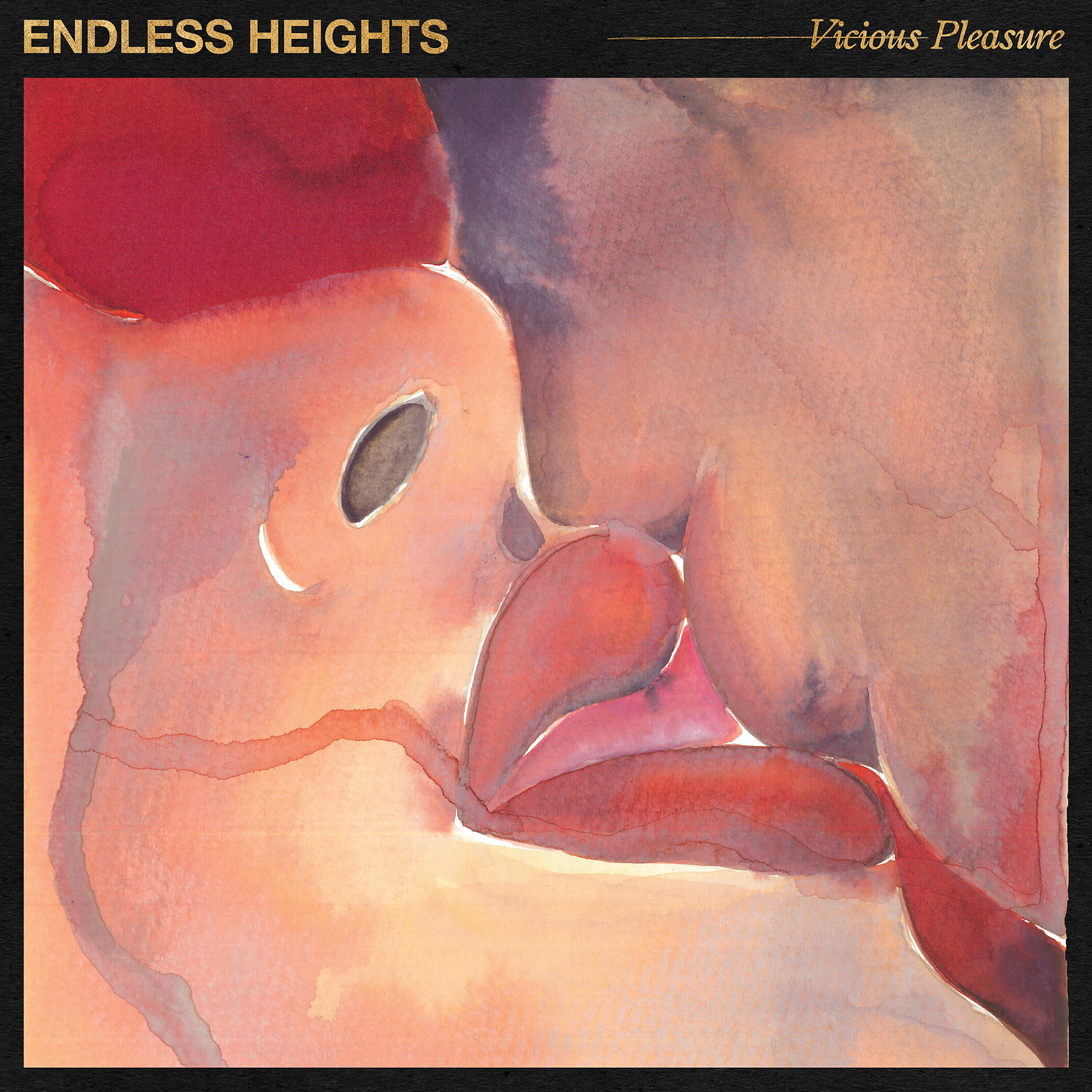 Endless Heights - Pray I Fade
