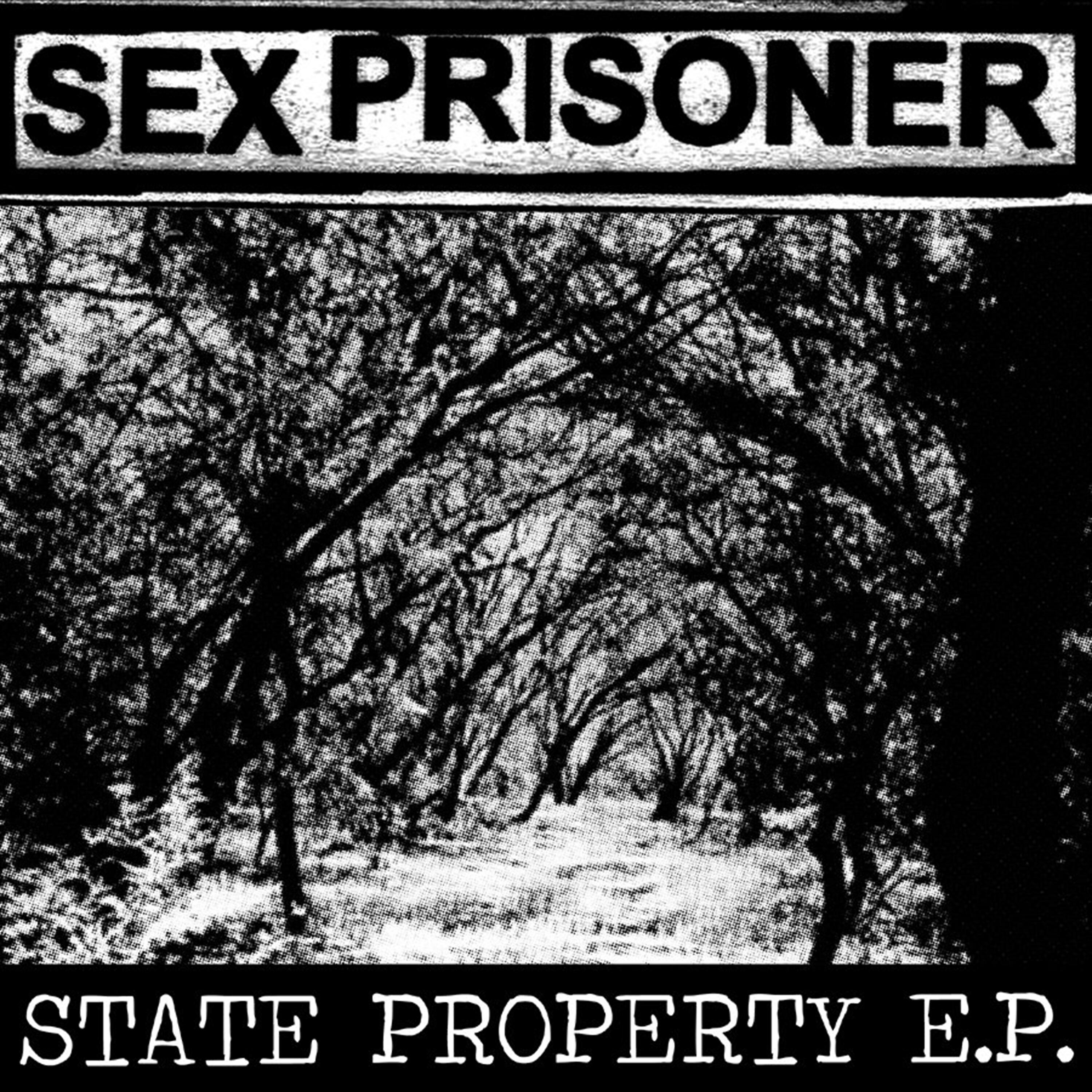Sex Prisoner - Grabbed from the Dark