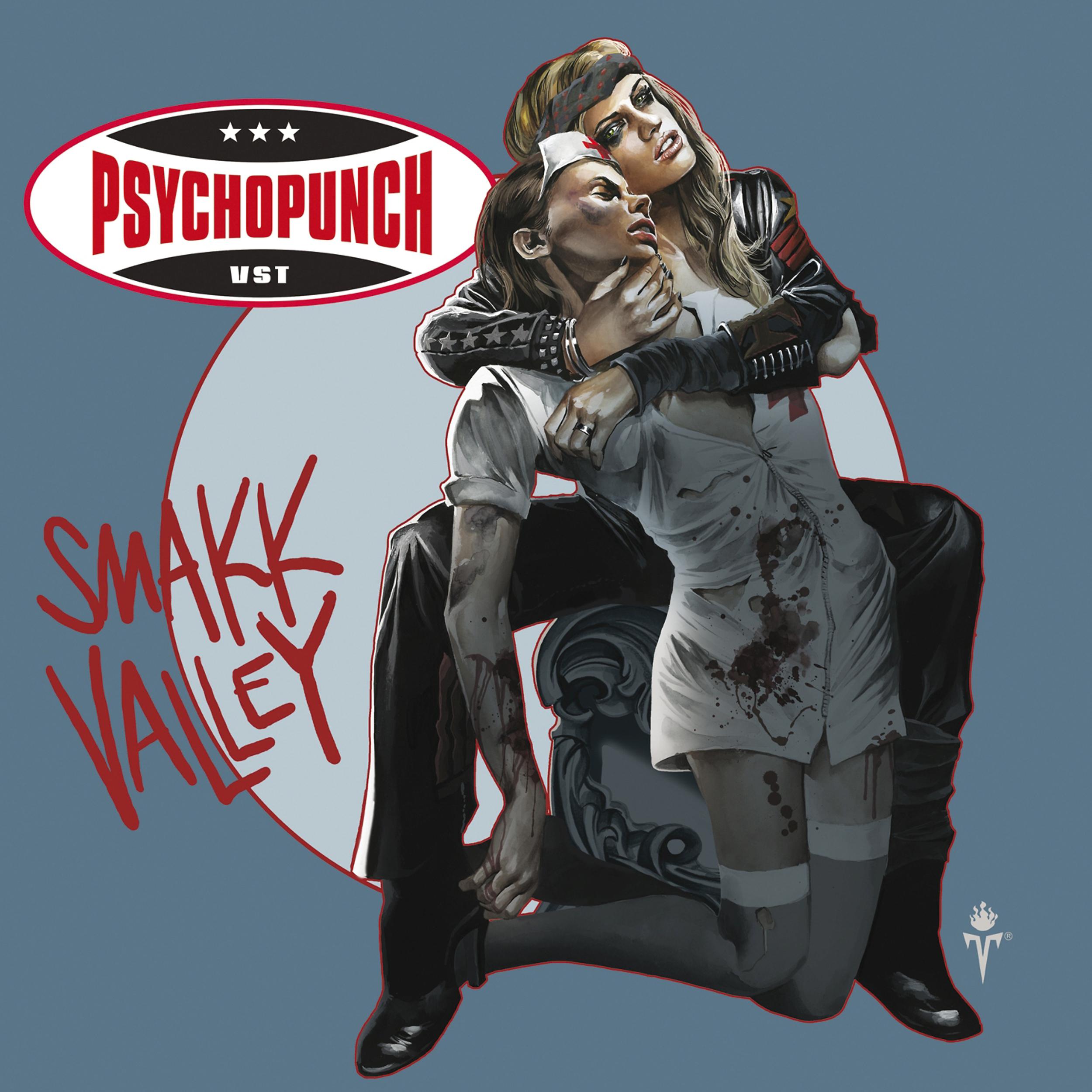 Постер альбома Smakk Valley