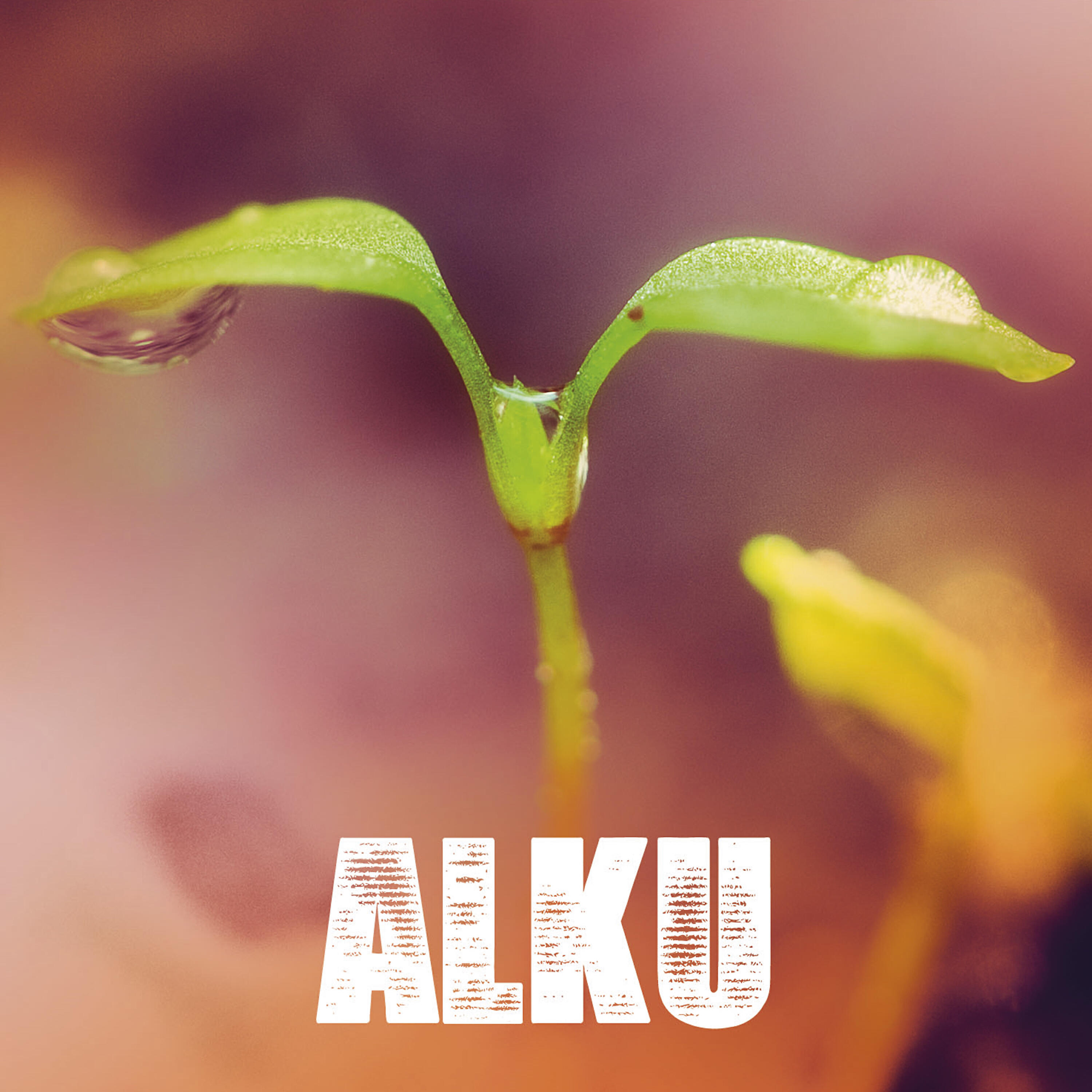 Alku - Matka