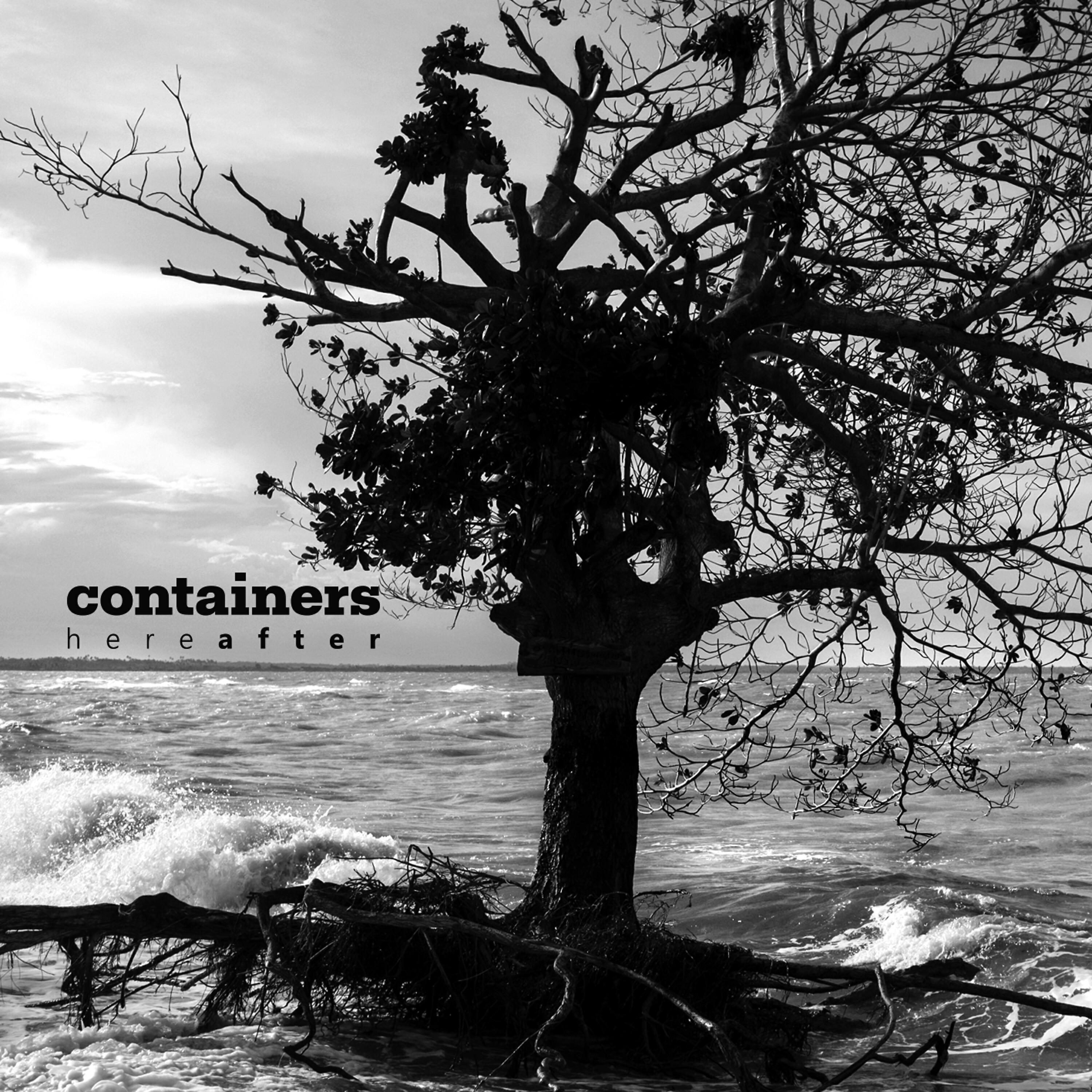 Containers - Whatching Wondering