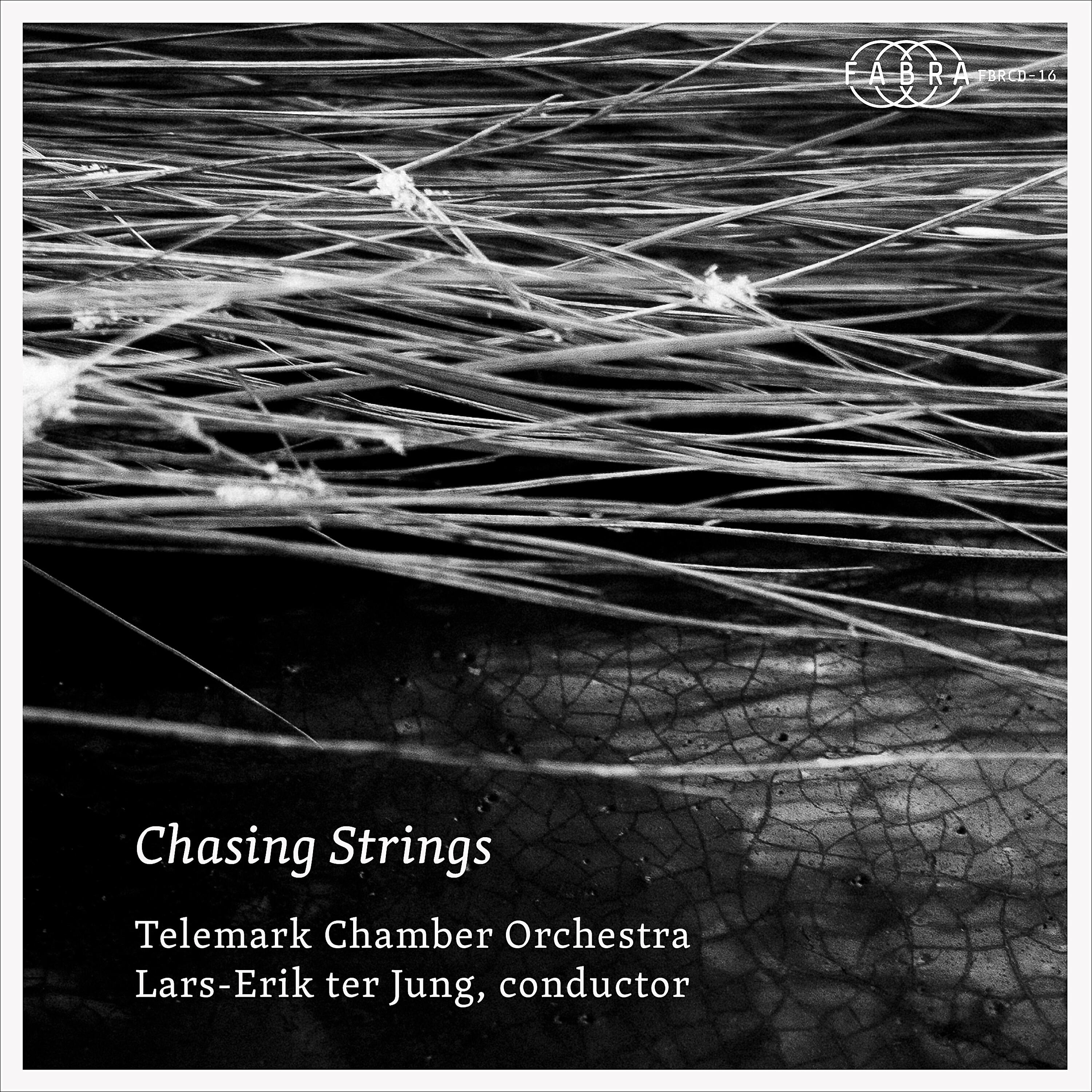 Telemark Chamber Orchestra - Jan Erik Mikalsen: Lied for String Ensemble