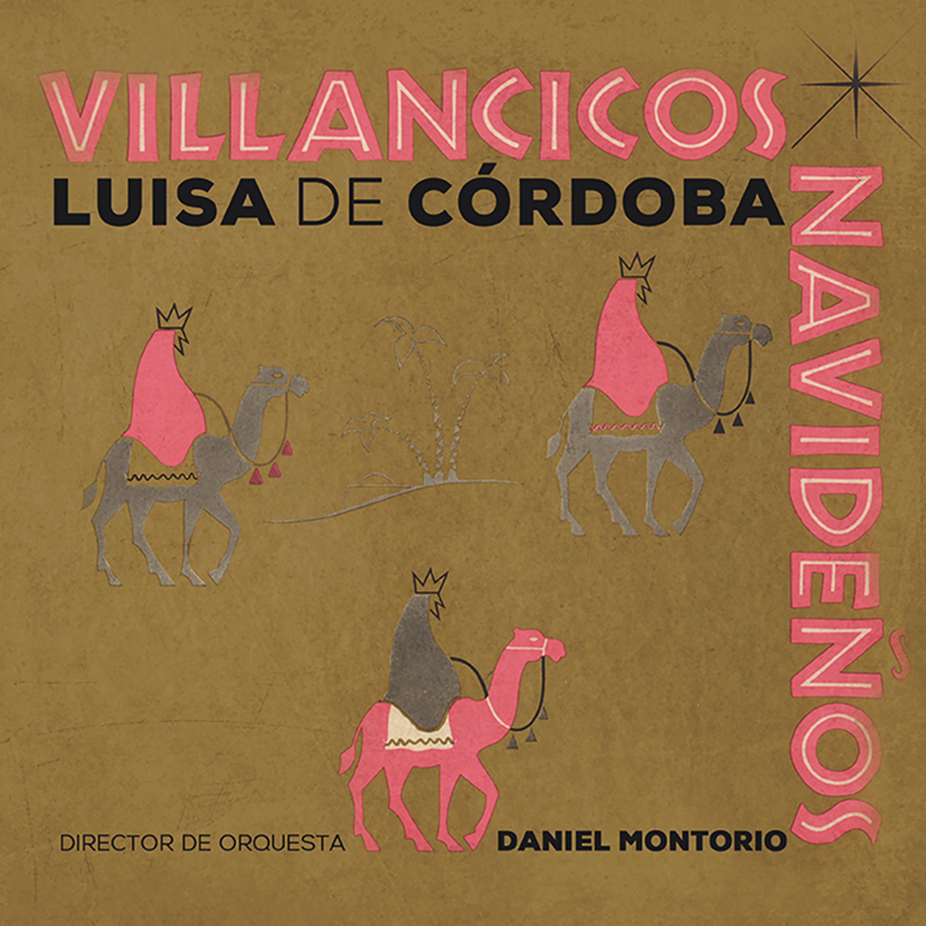 Постер альбома Villancicos Navideños