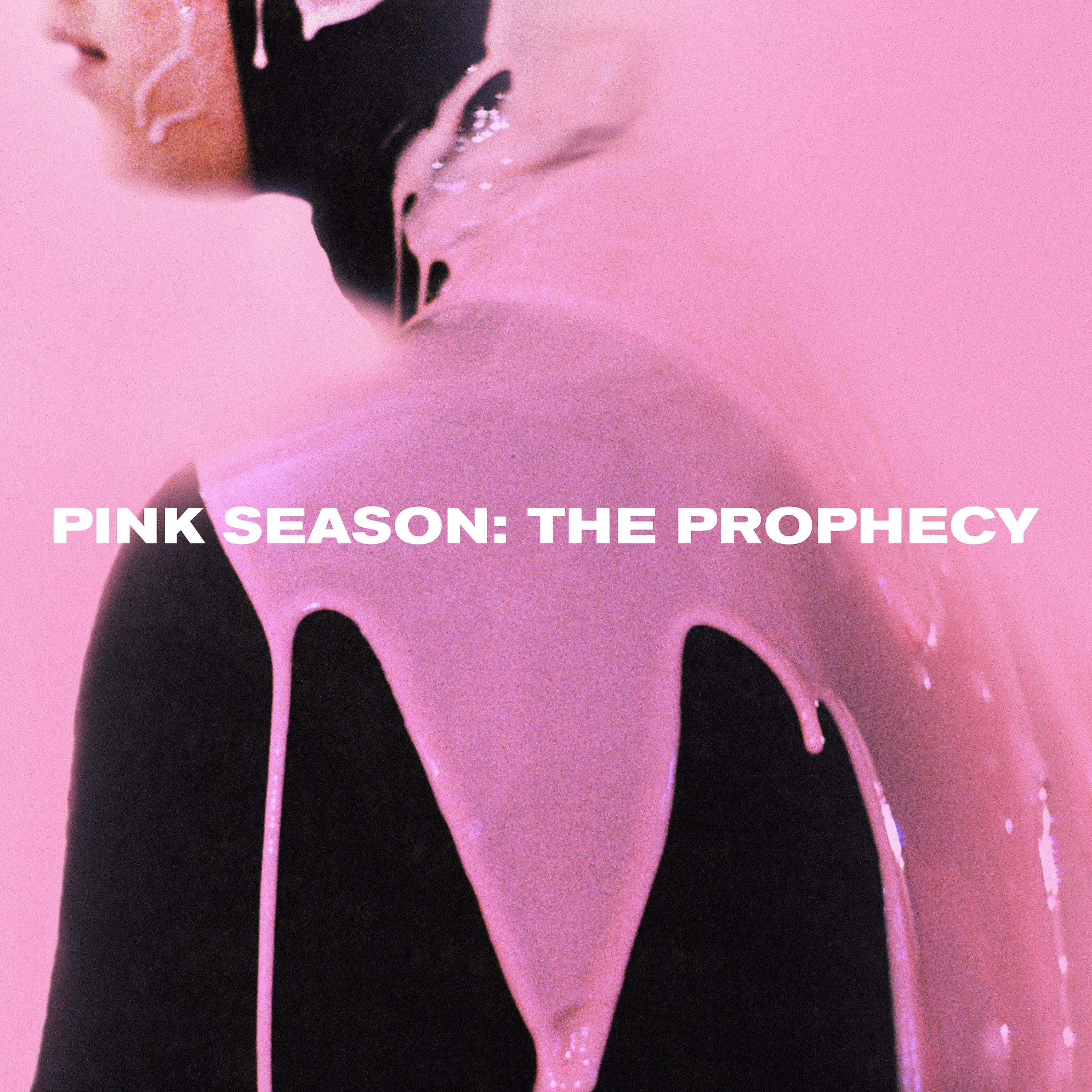 Постер альбома Pink Season: The Prophecy