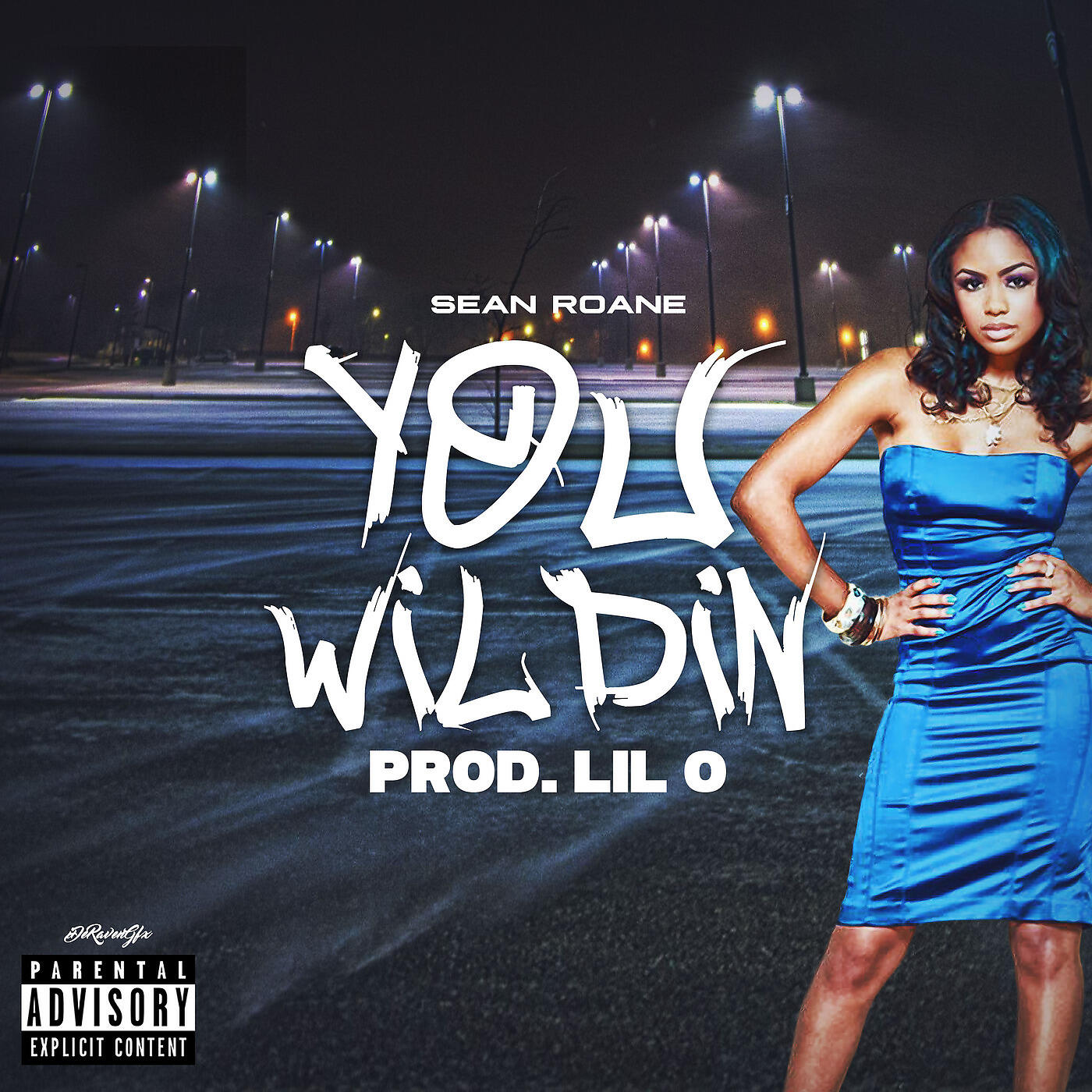 Sean Roane - You Wildin'