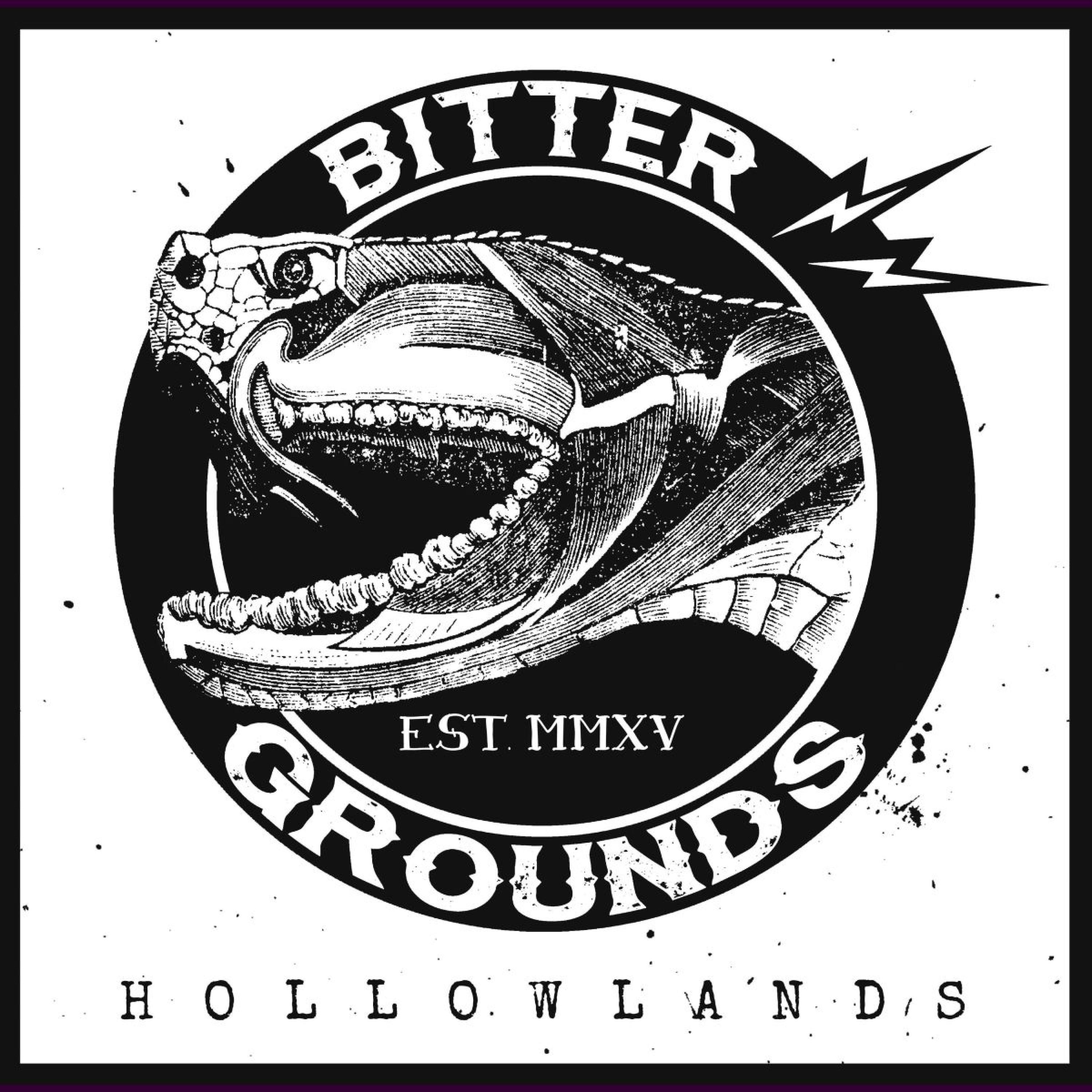Постер альбома Hollowlands