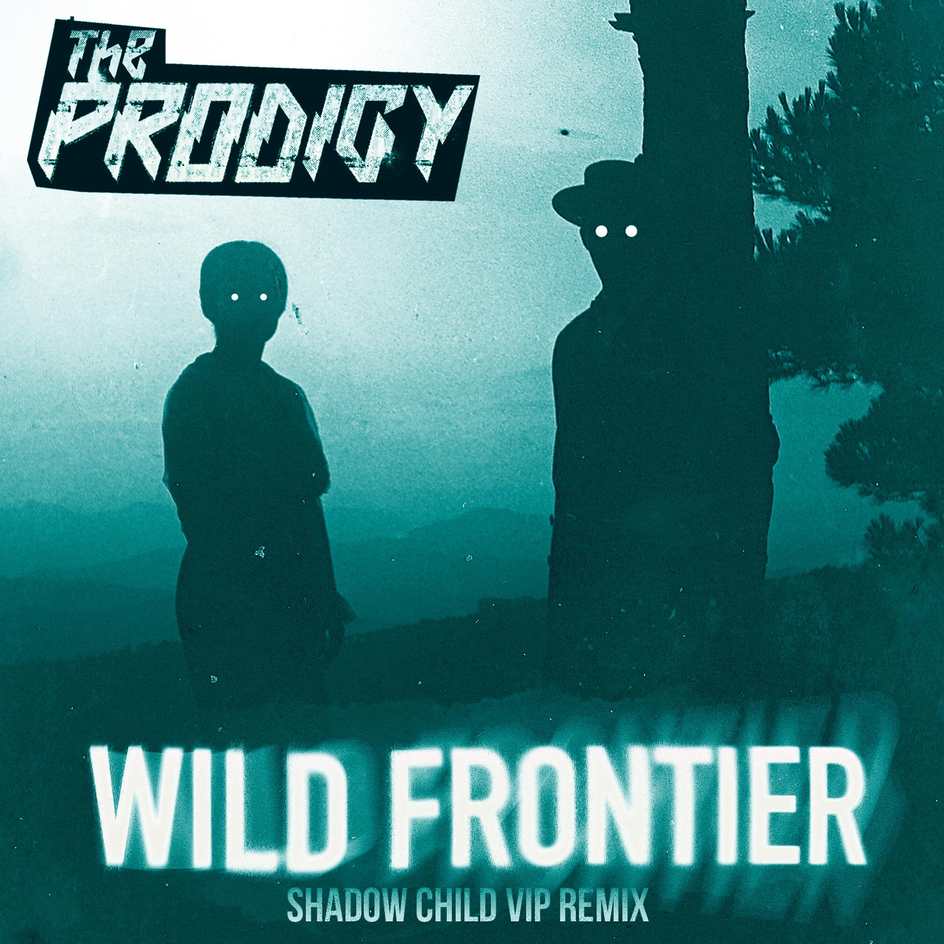 Постер альбома Wild Frontier (Shadow Child VIP Remix)