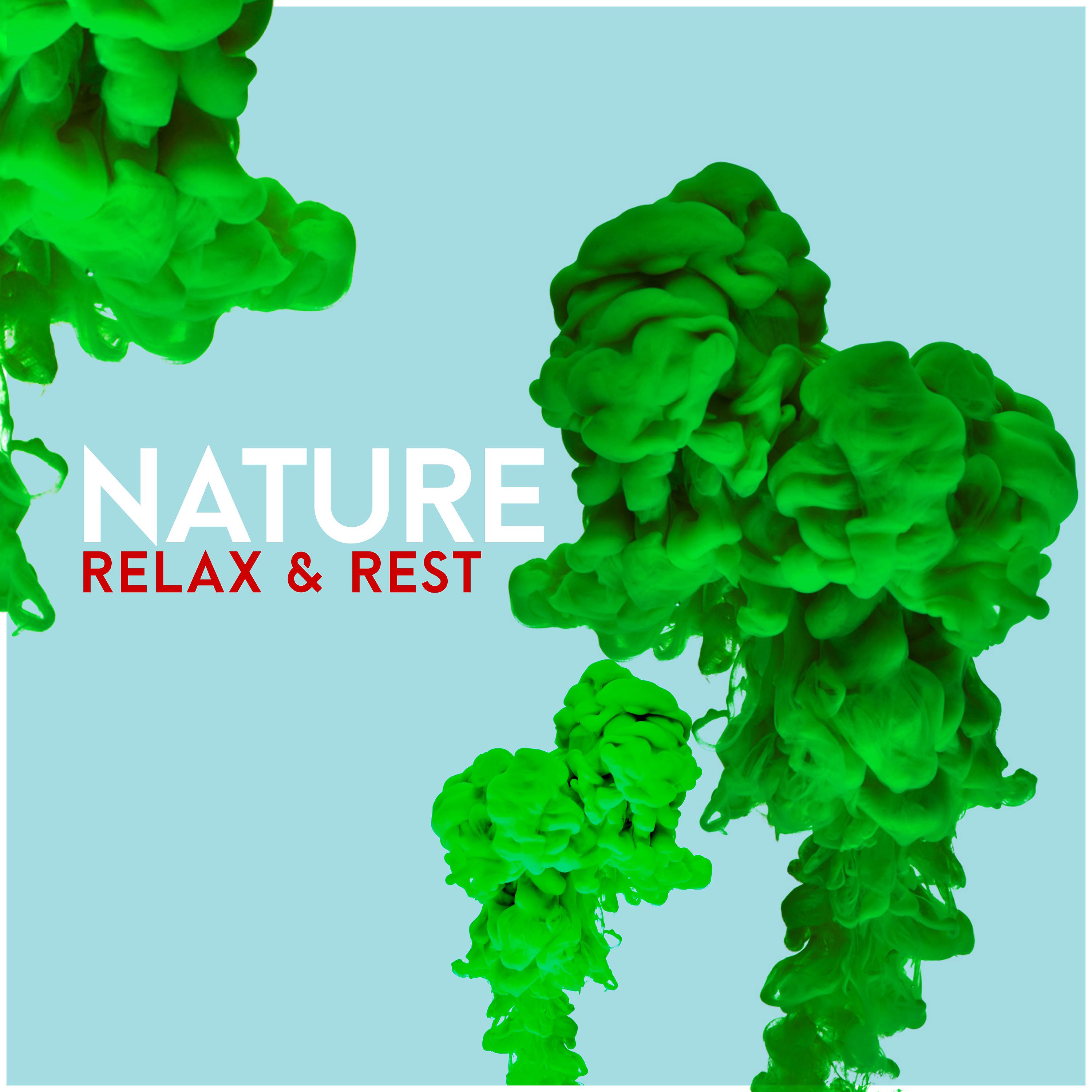Постер альбома Nature Relax & Rest