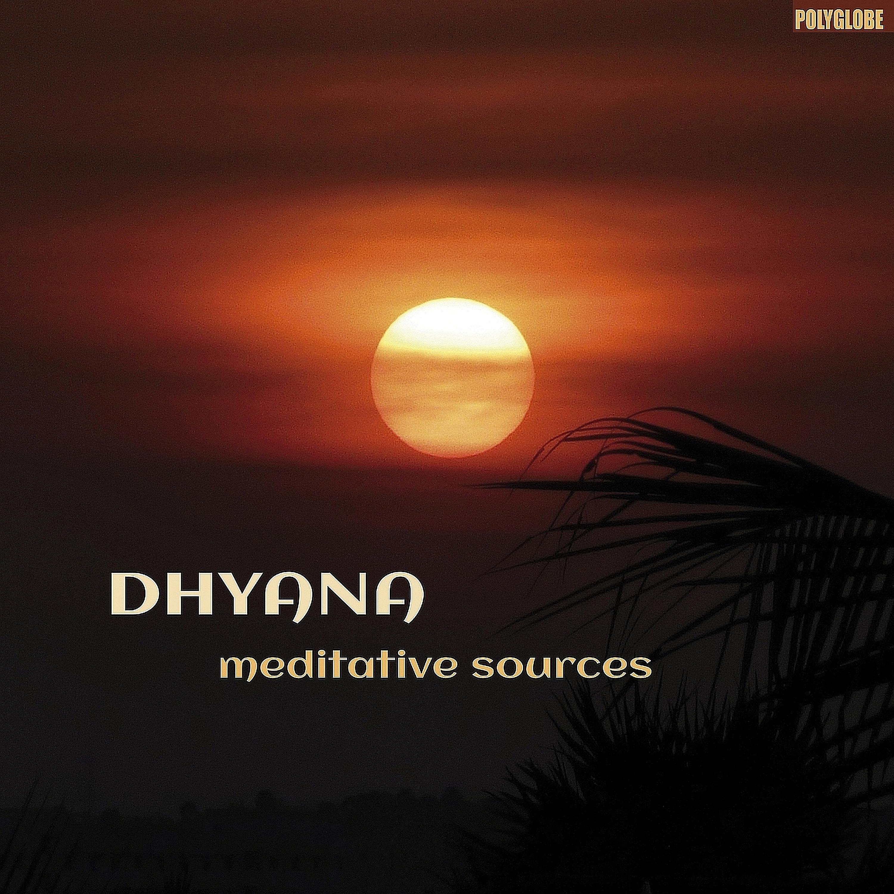 Постер альбома Meditative Sources