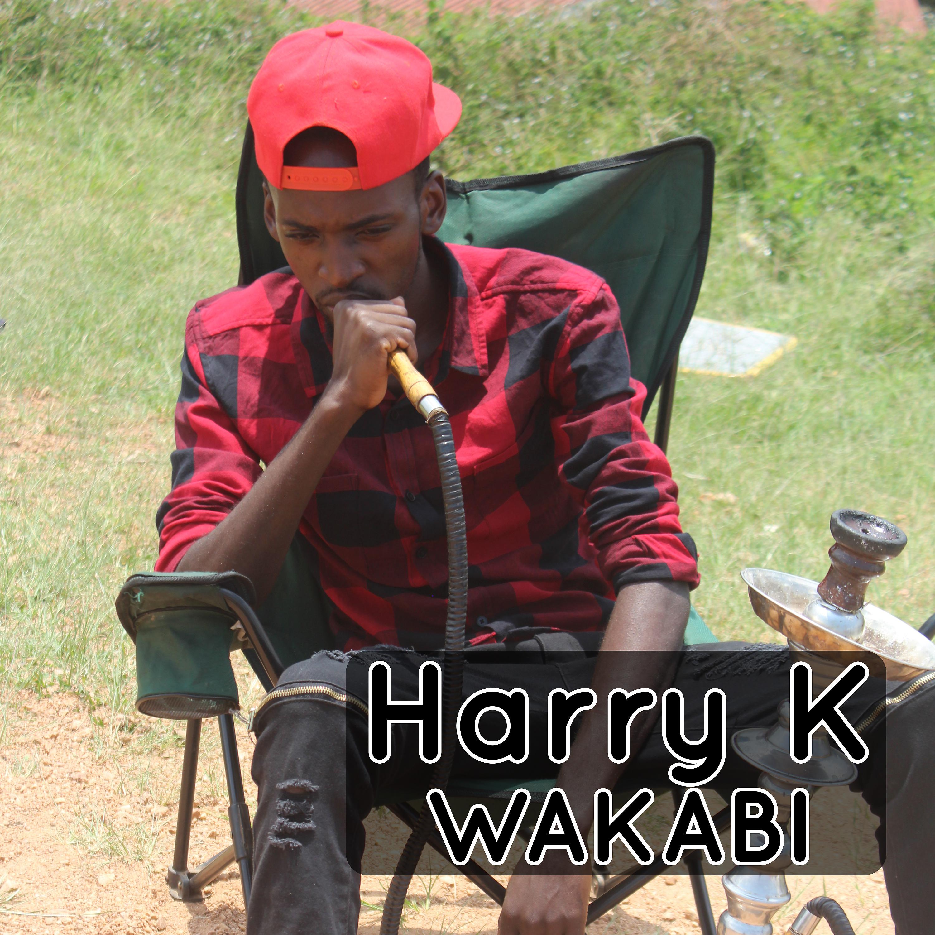 Постер альбома Wakabi