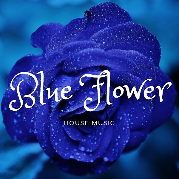 Постер альбома Blue Flower House Music
