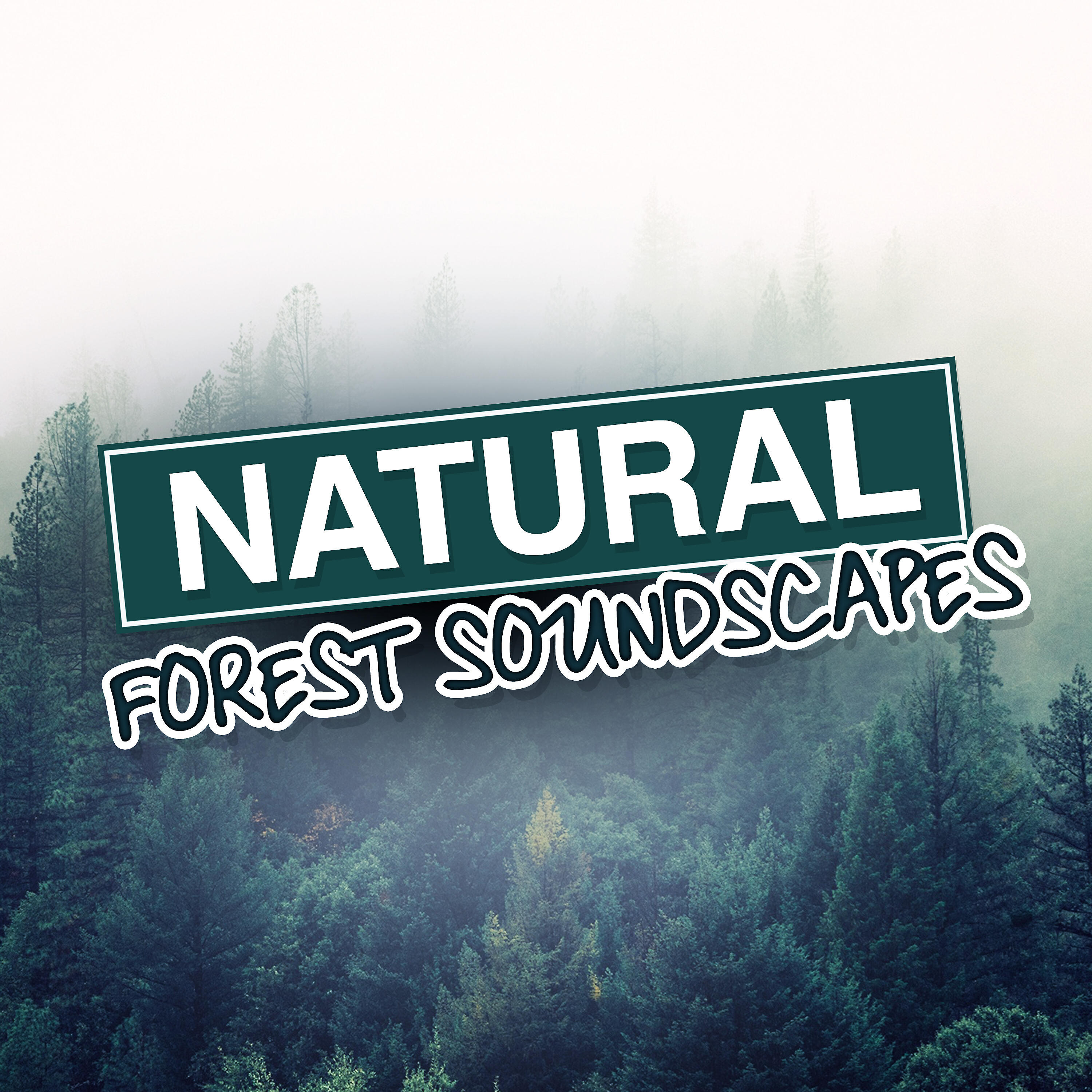 Outside Broadcast Recordings - Natural Waters
