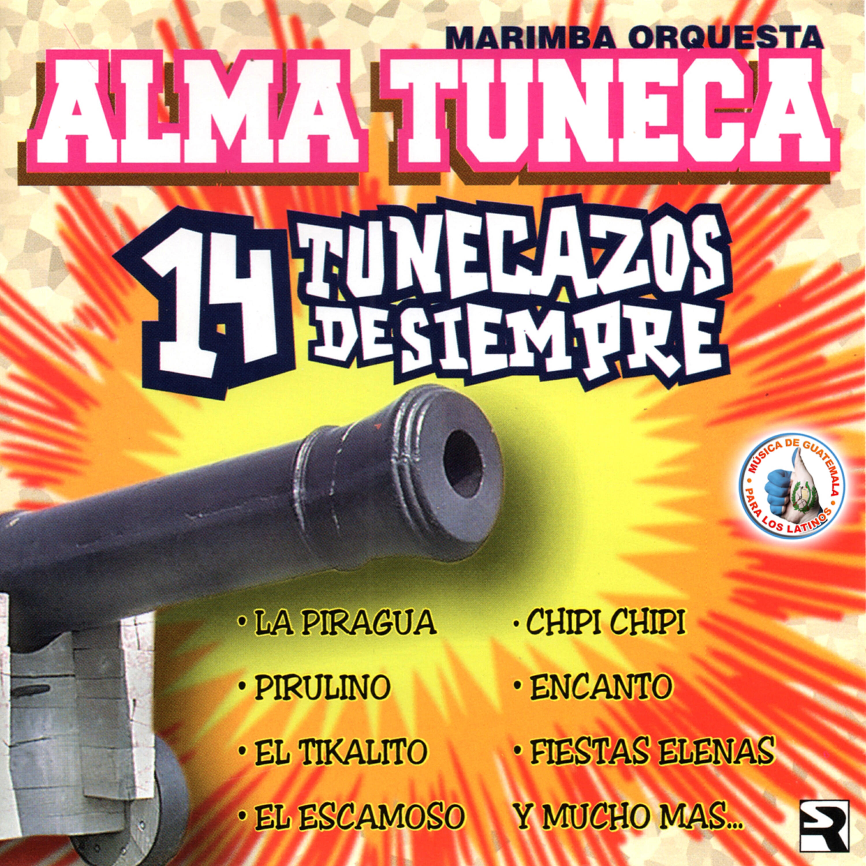Marimba Orquesta Alma Tuneca - Encanto