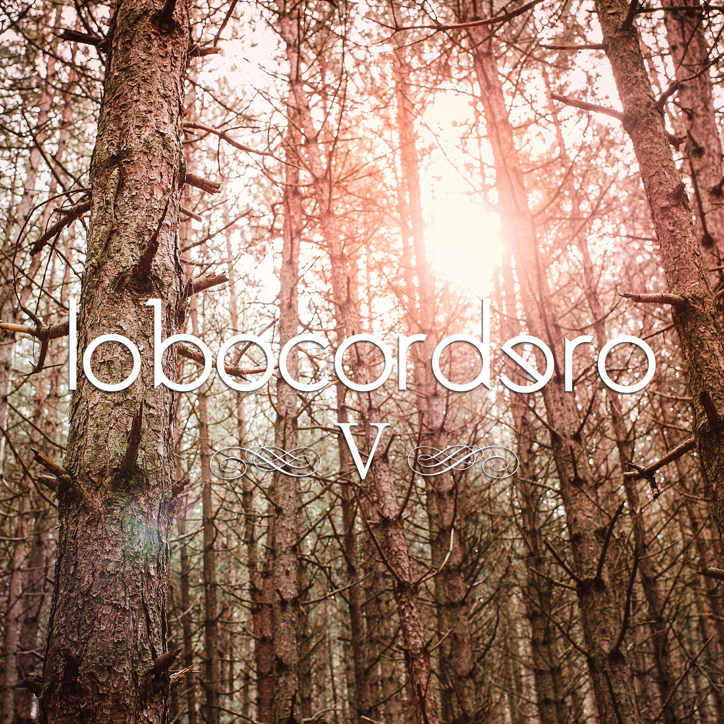 Lobocordero - La Gravedad Exacta