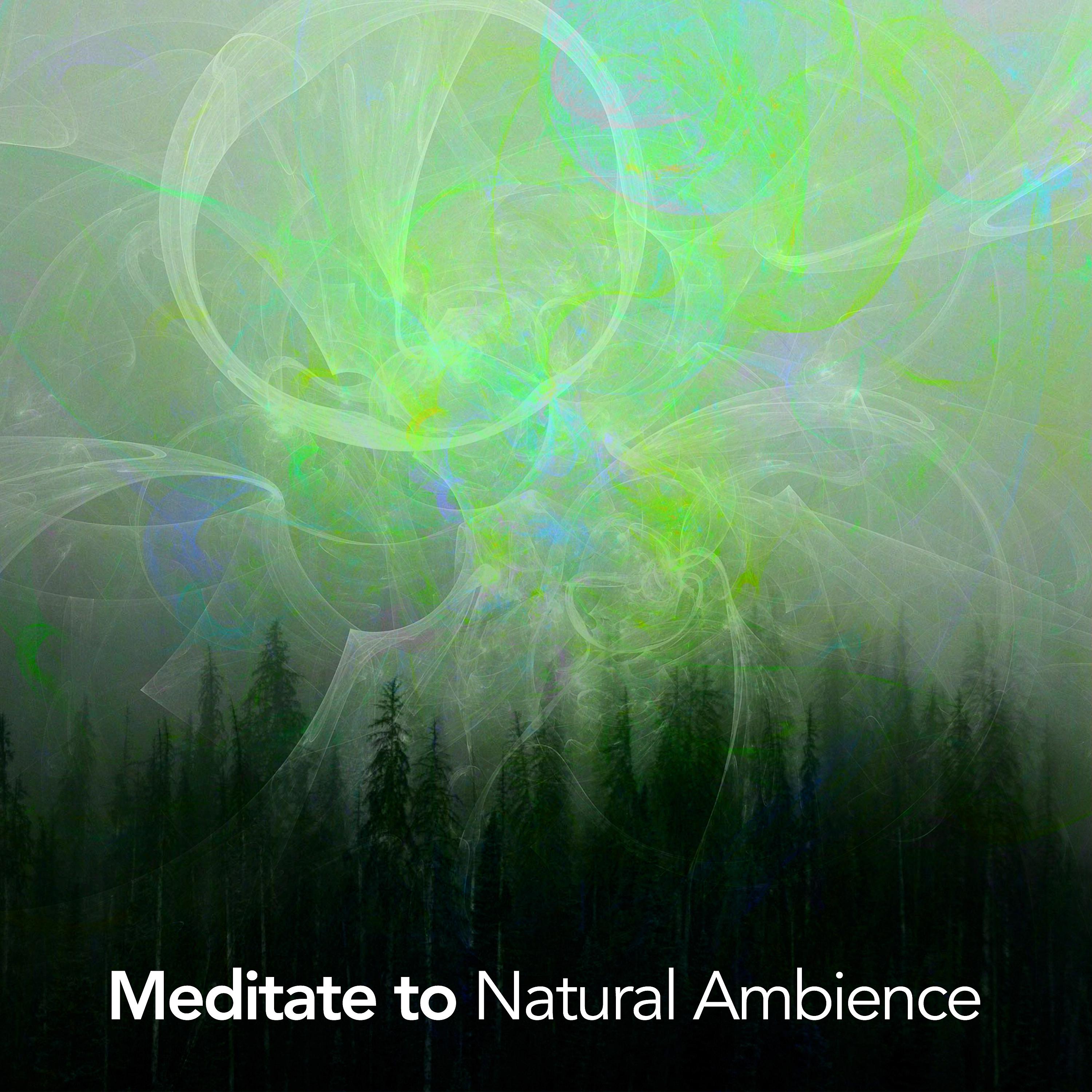 Постер альбома Meditate to Natural Ambience