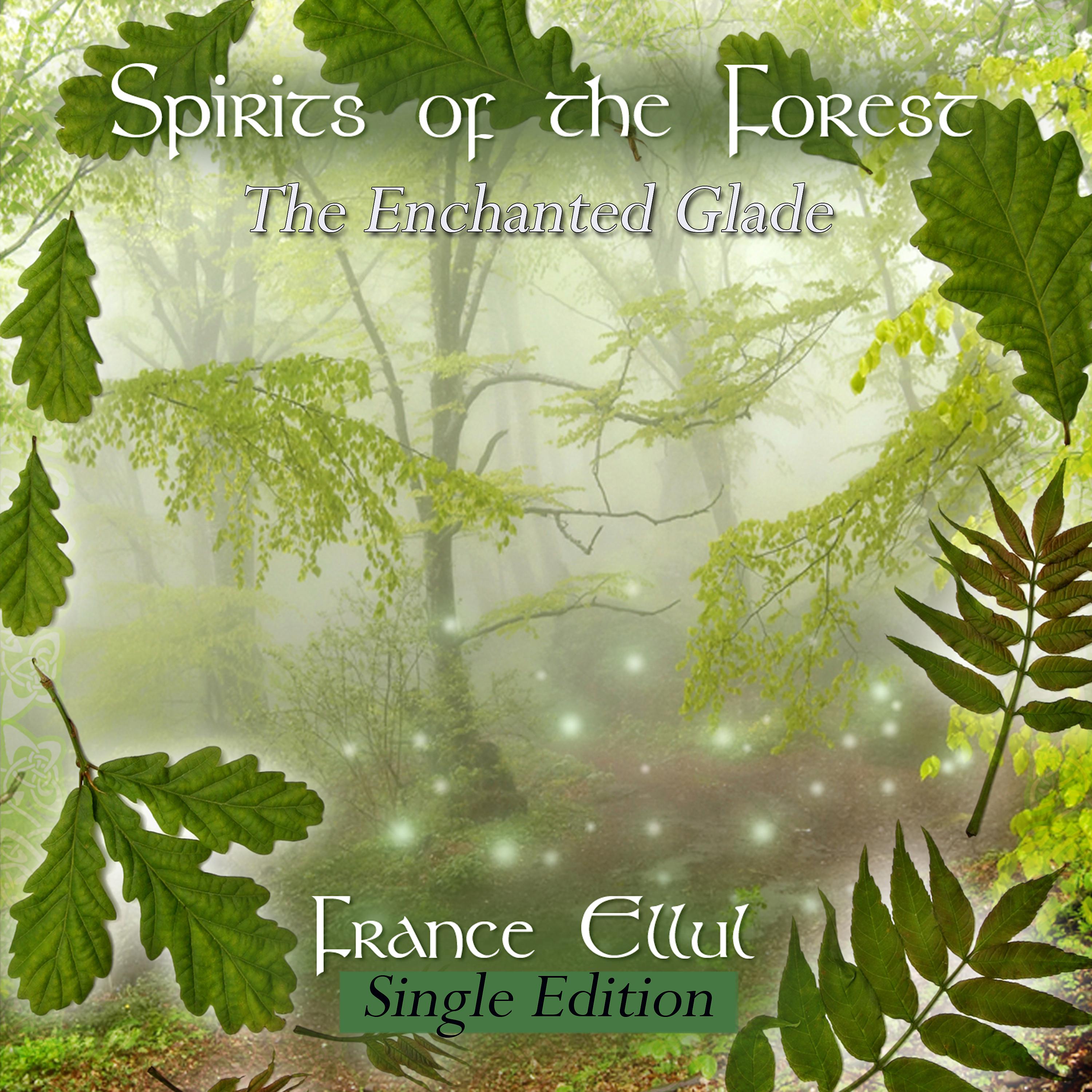 Постер альбома Spirits of the Forest - The Enchanted Glade