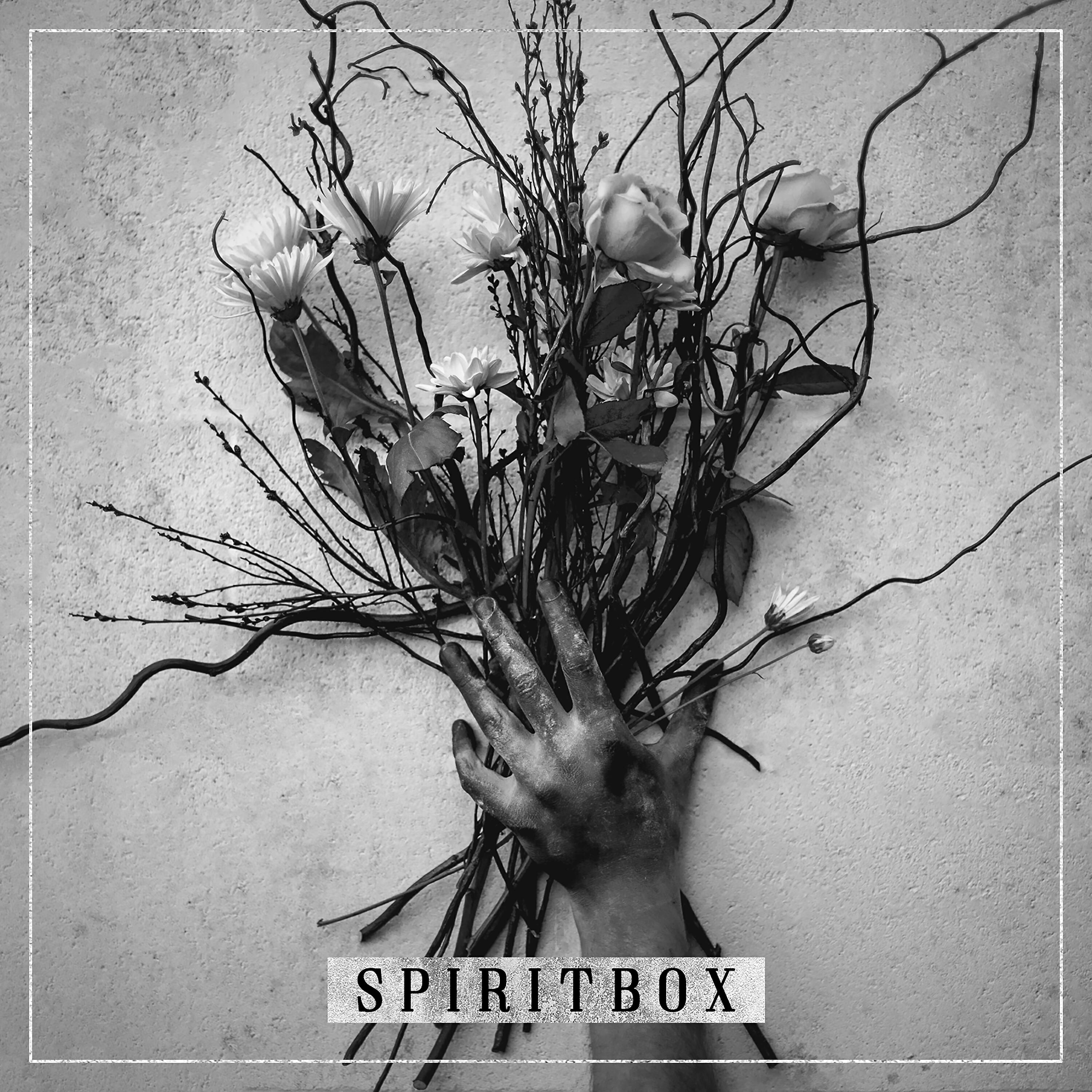 Spiritbox - 10: 16