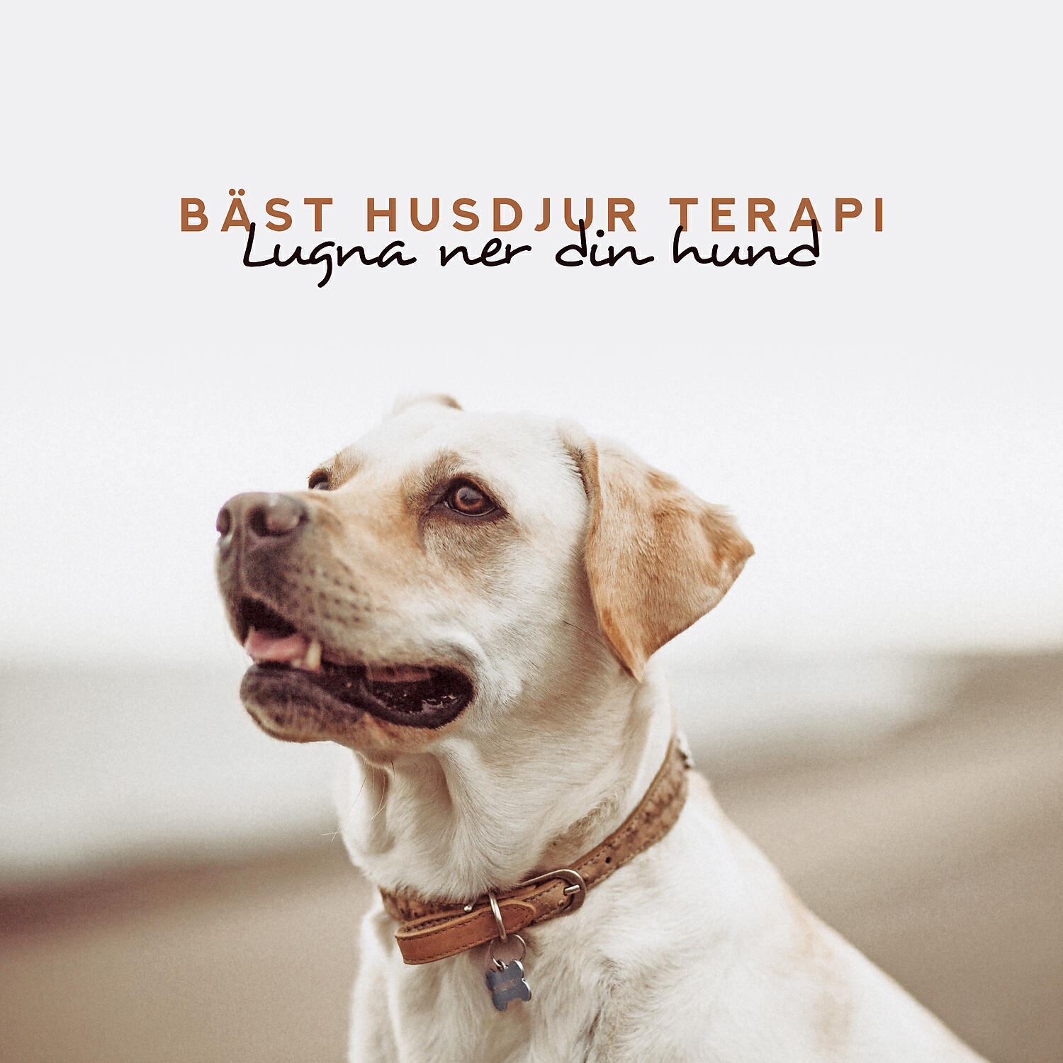 Lugn Musik Atmosfär - Lat helg