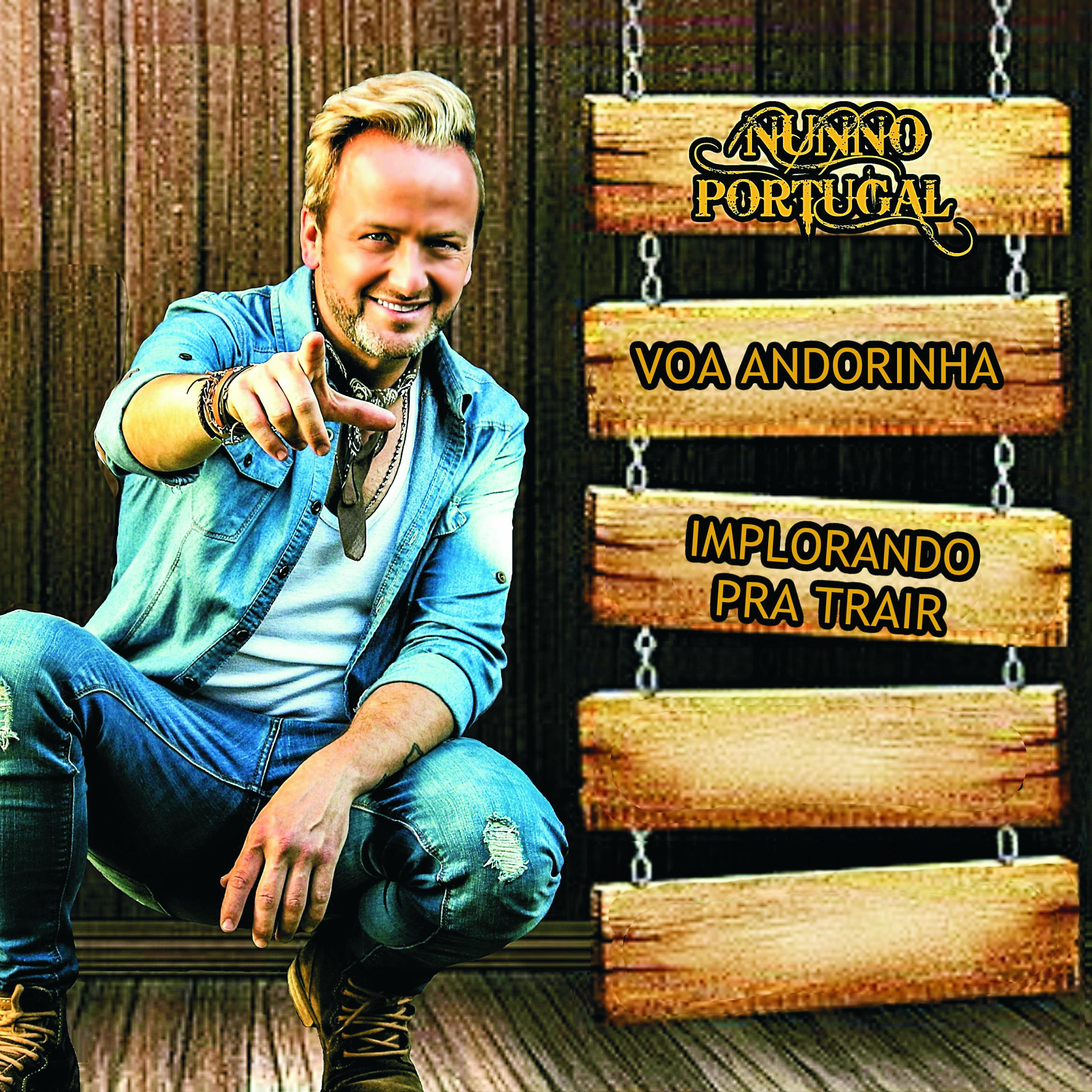 Постер альбома Voa Andorinha
