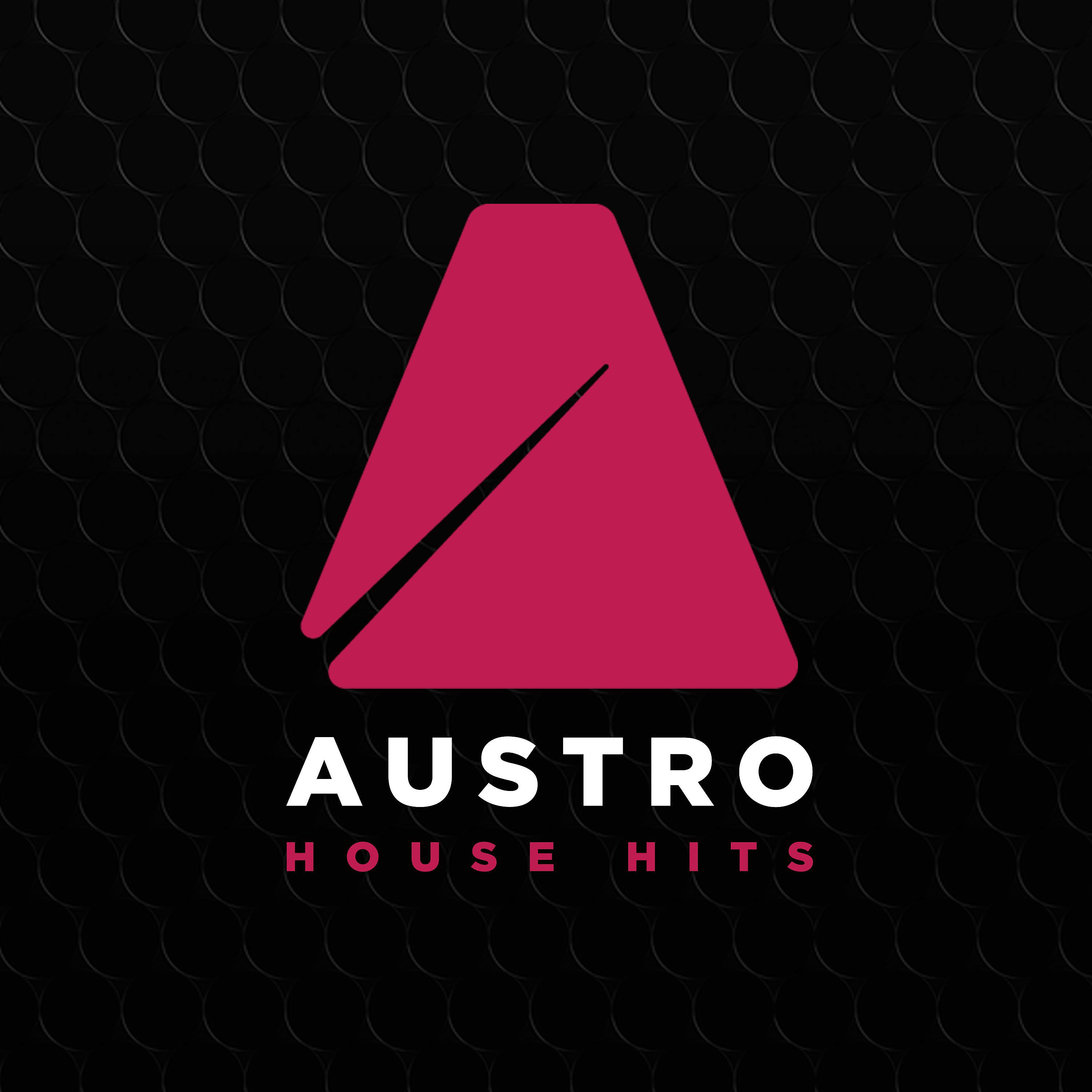 Постер альбома Austro House Hits 2017