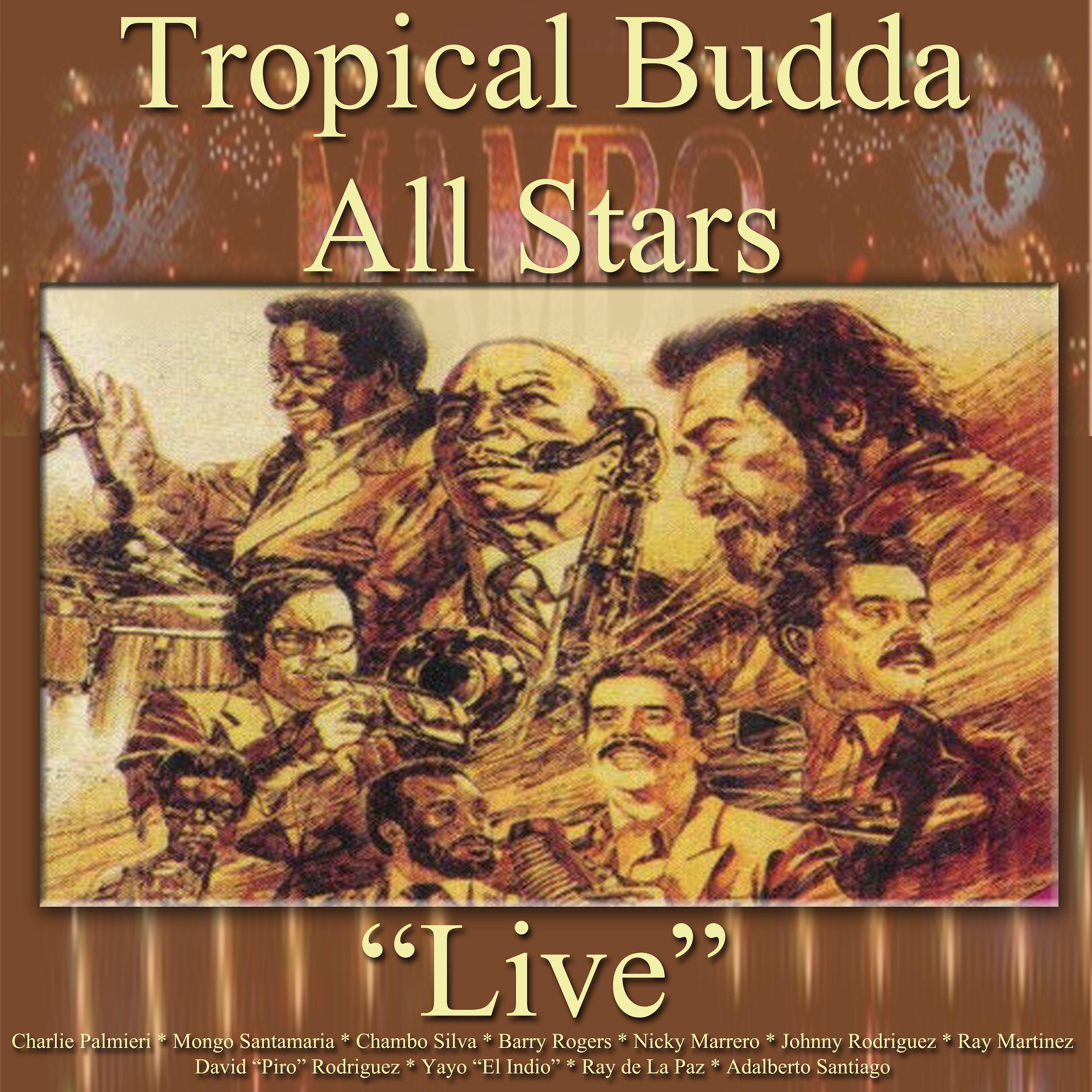 Tropical Budda All Stars - Mambo For Henry (Live)