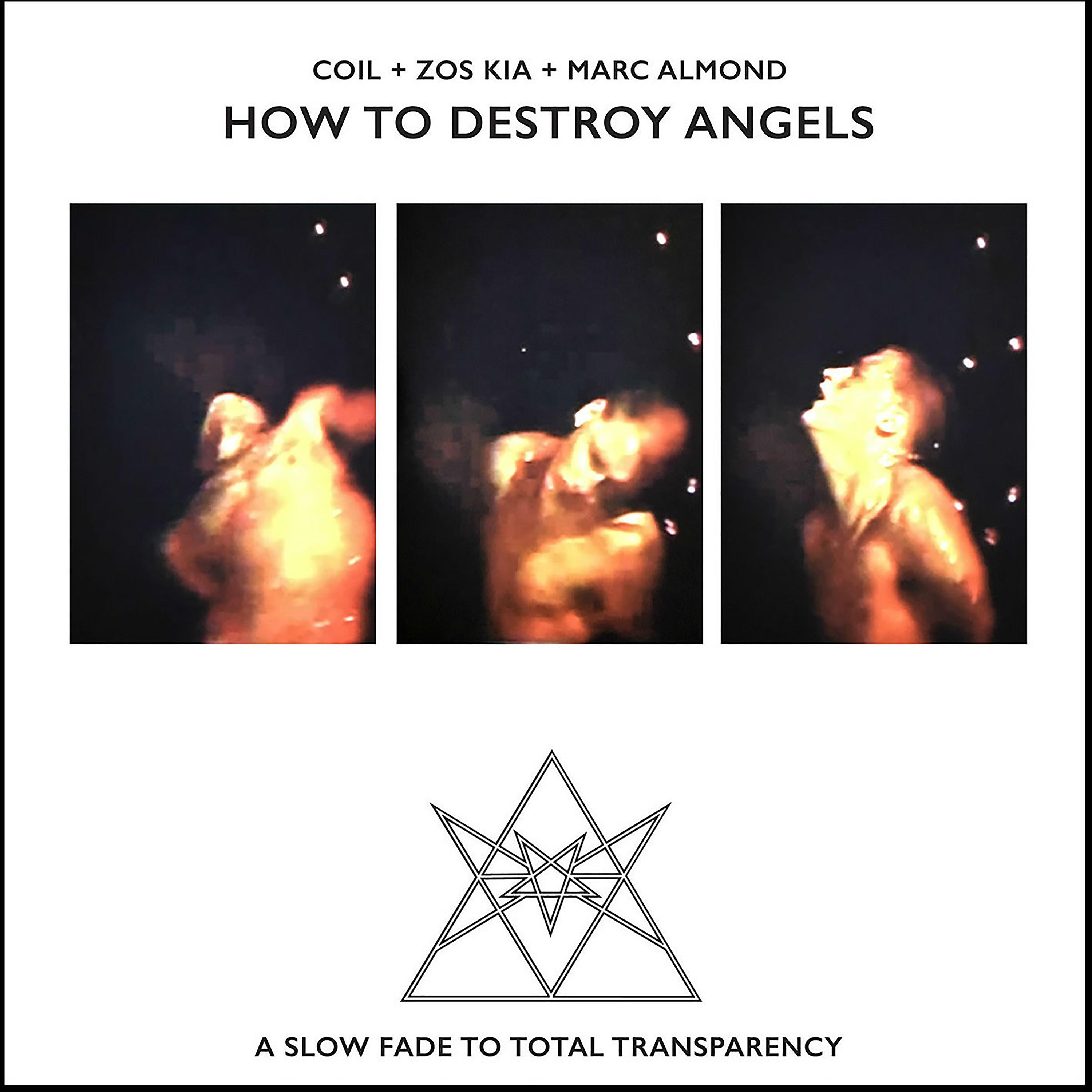 Постер альбома How to Destroy Angels