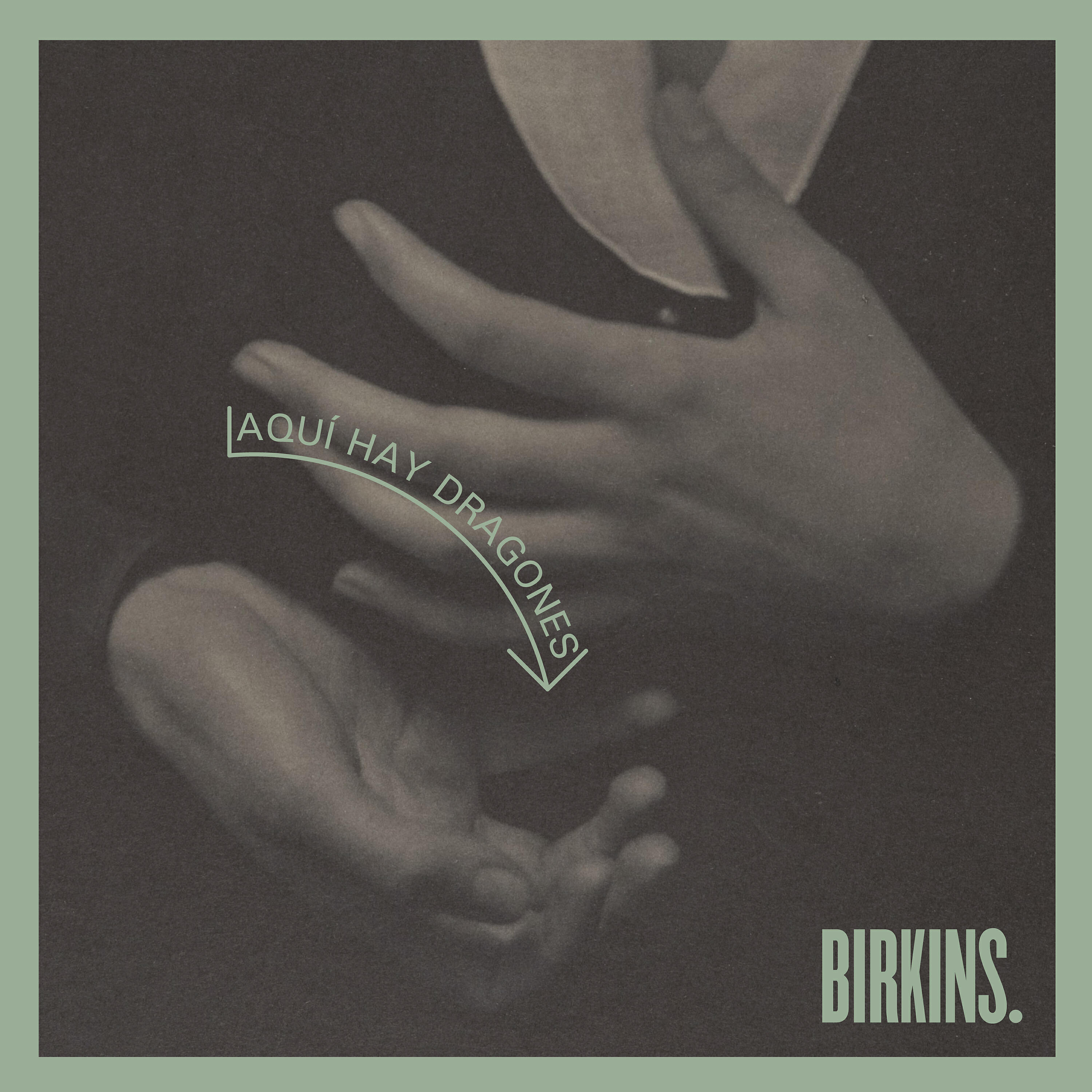 Birkins - La noria esquiva