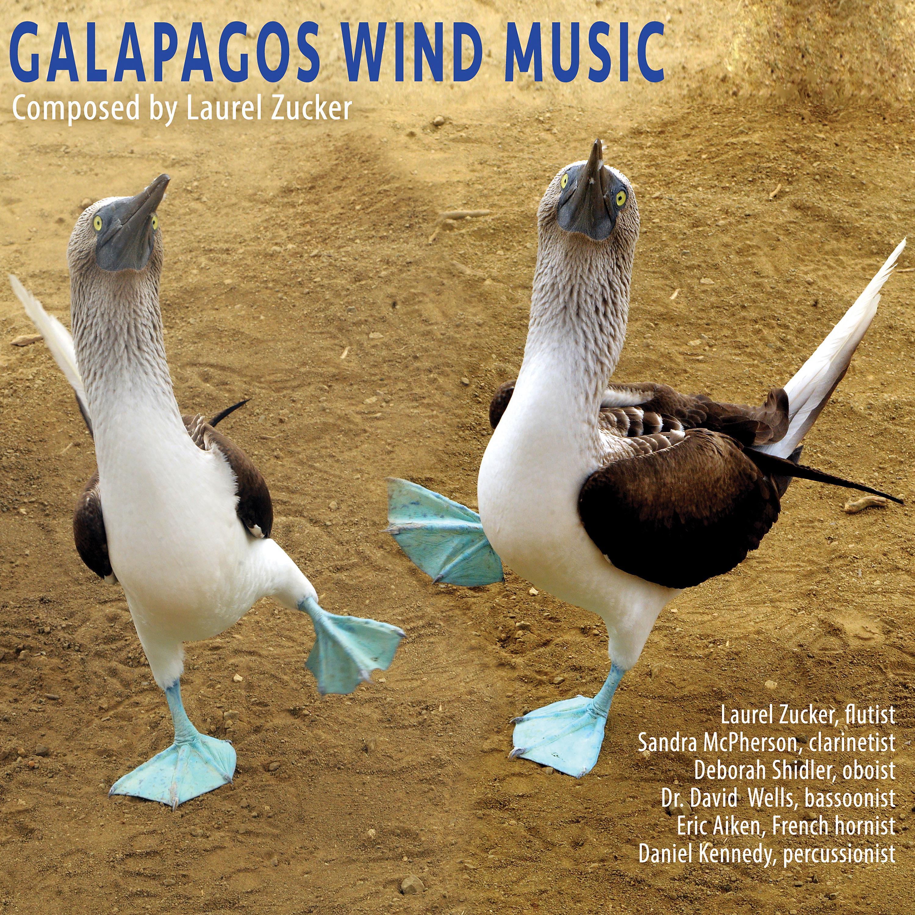 Постер альбома Galapagos Wind Music
