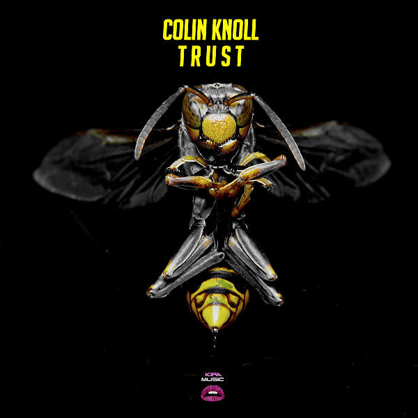 Colin Knoll - Trust
