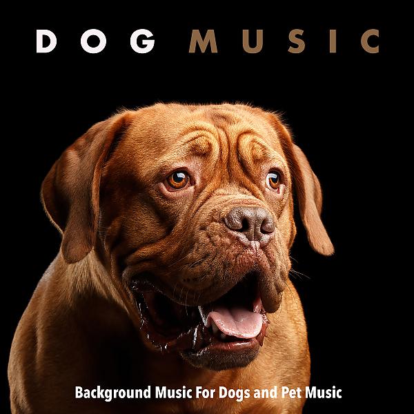 Постер альбома Dog Music: Background Music For Dogs and Pet Music