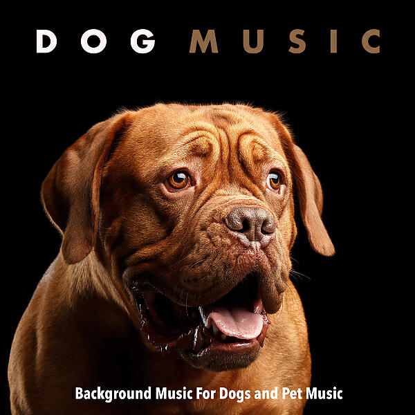 Dog Music - Background Music For Dogs