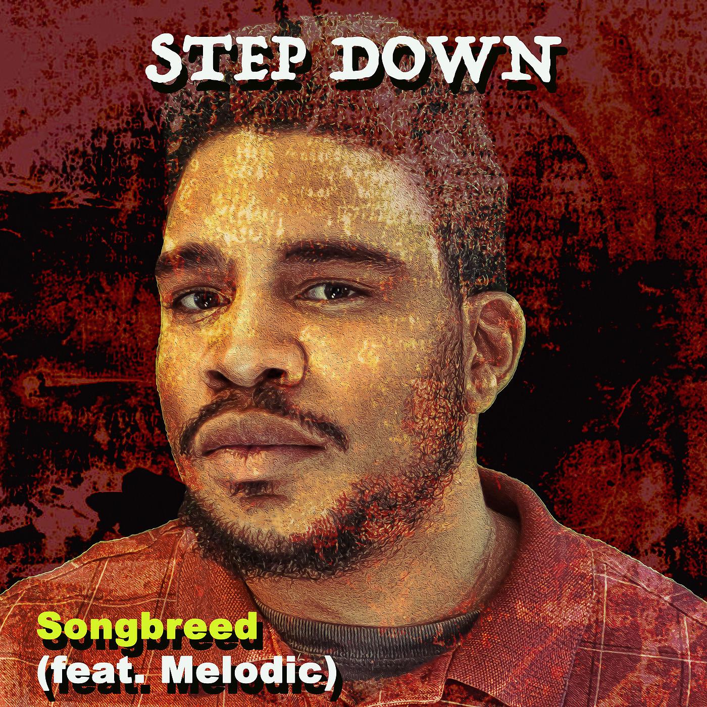 Постер альбома Step Down