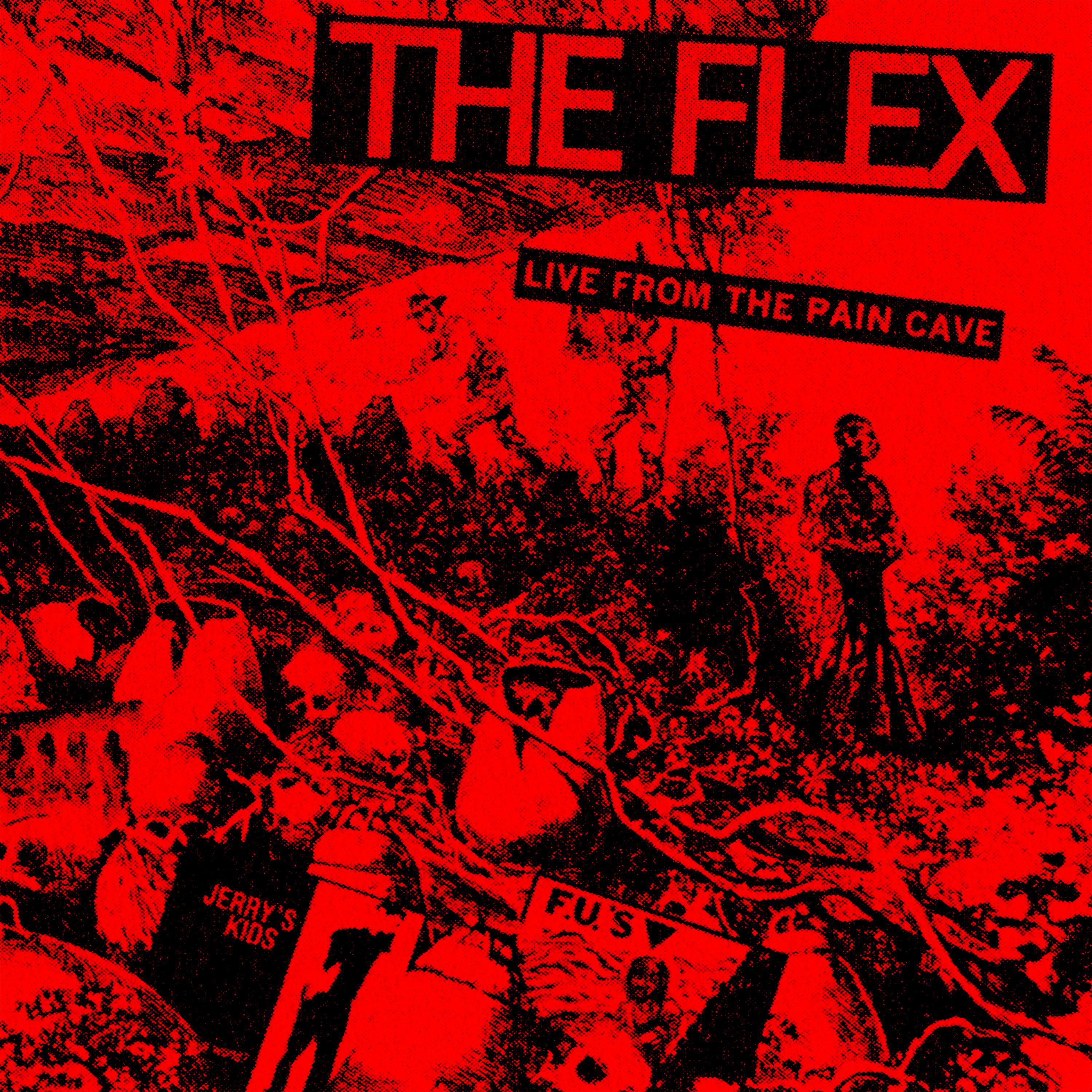 Постер альбома Flexual Healing Vi: Live from the Paincave