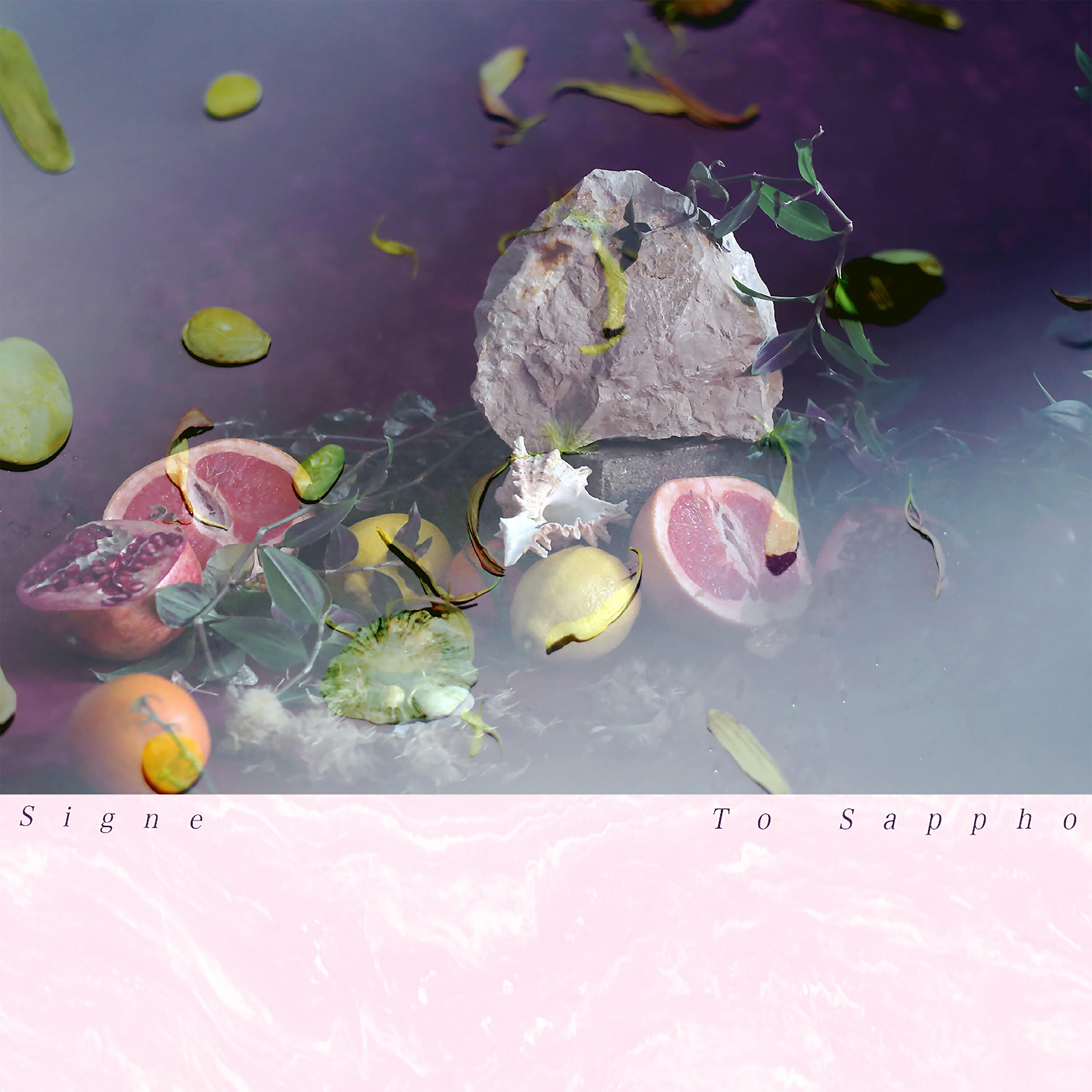 Signe - Ambrosia