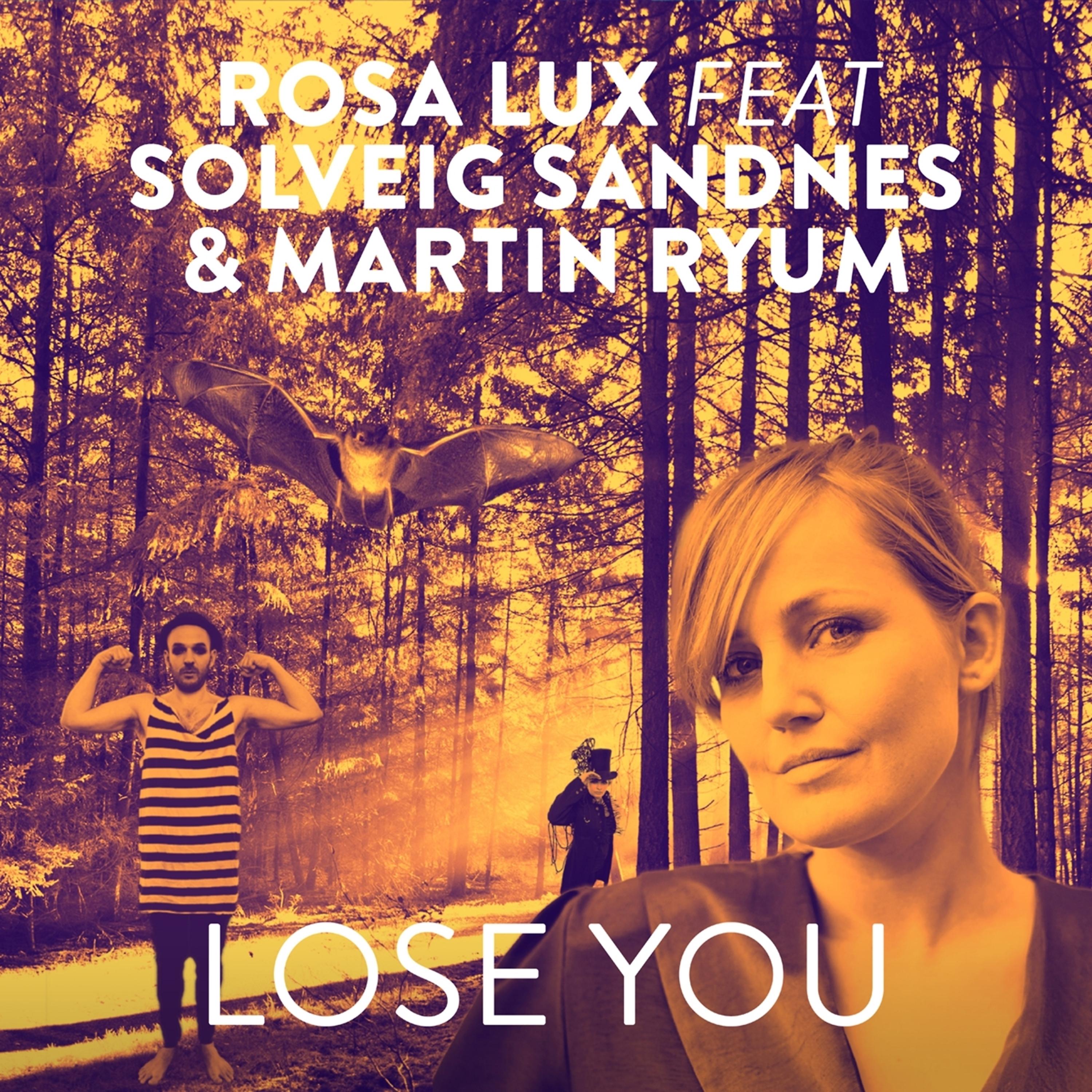 Постер альбома Lose You (feat. Solveig Sandnes & Martin Ryum)