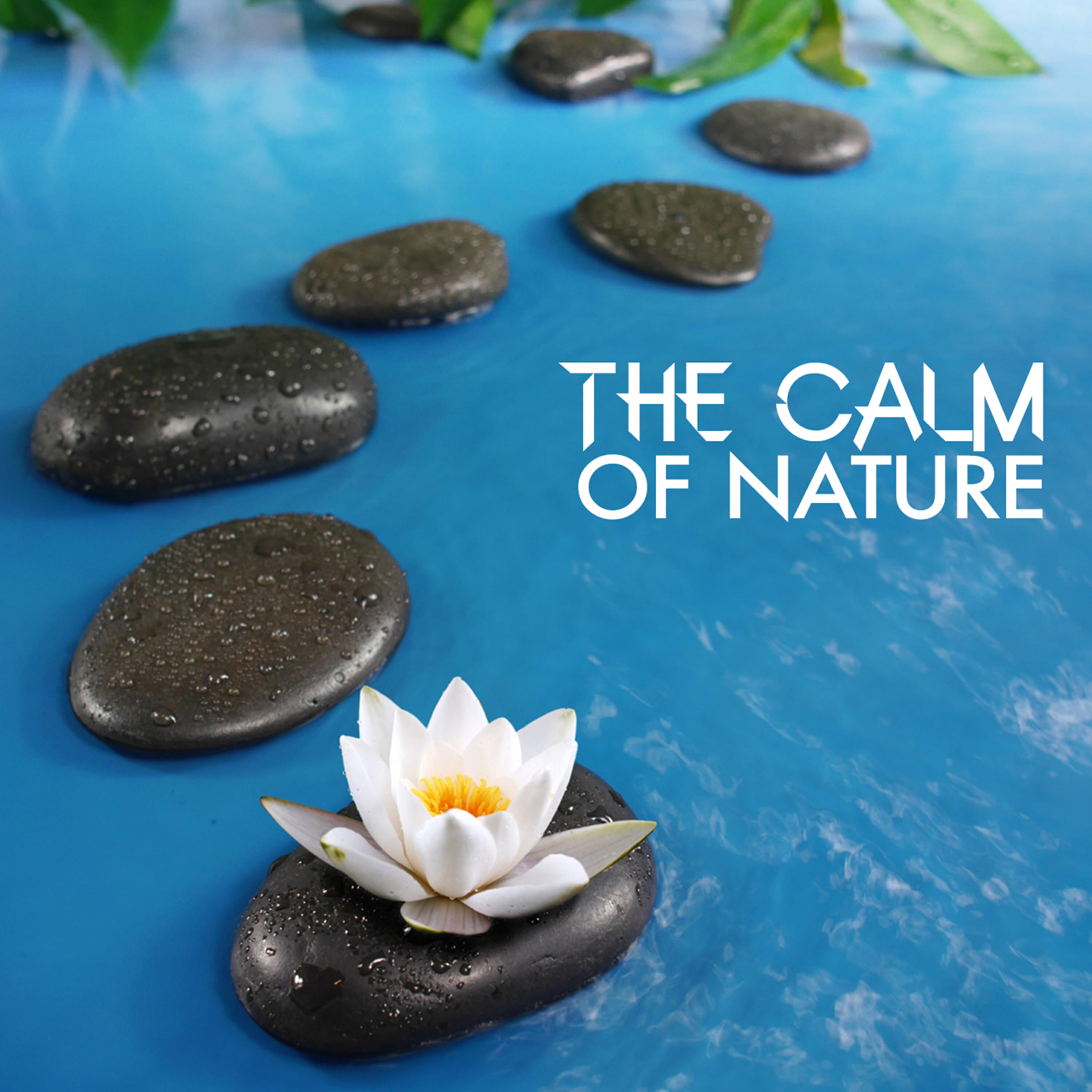 Meditate to Sounds of Nature - Lake Life