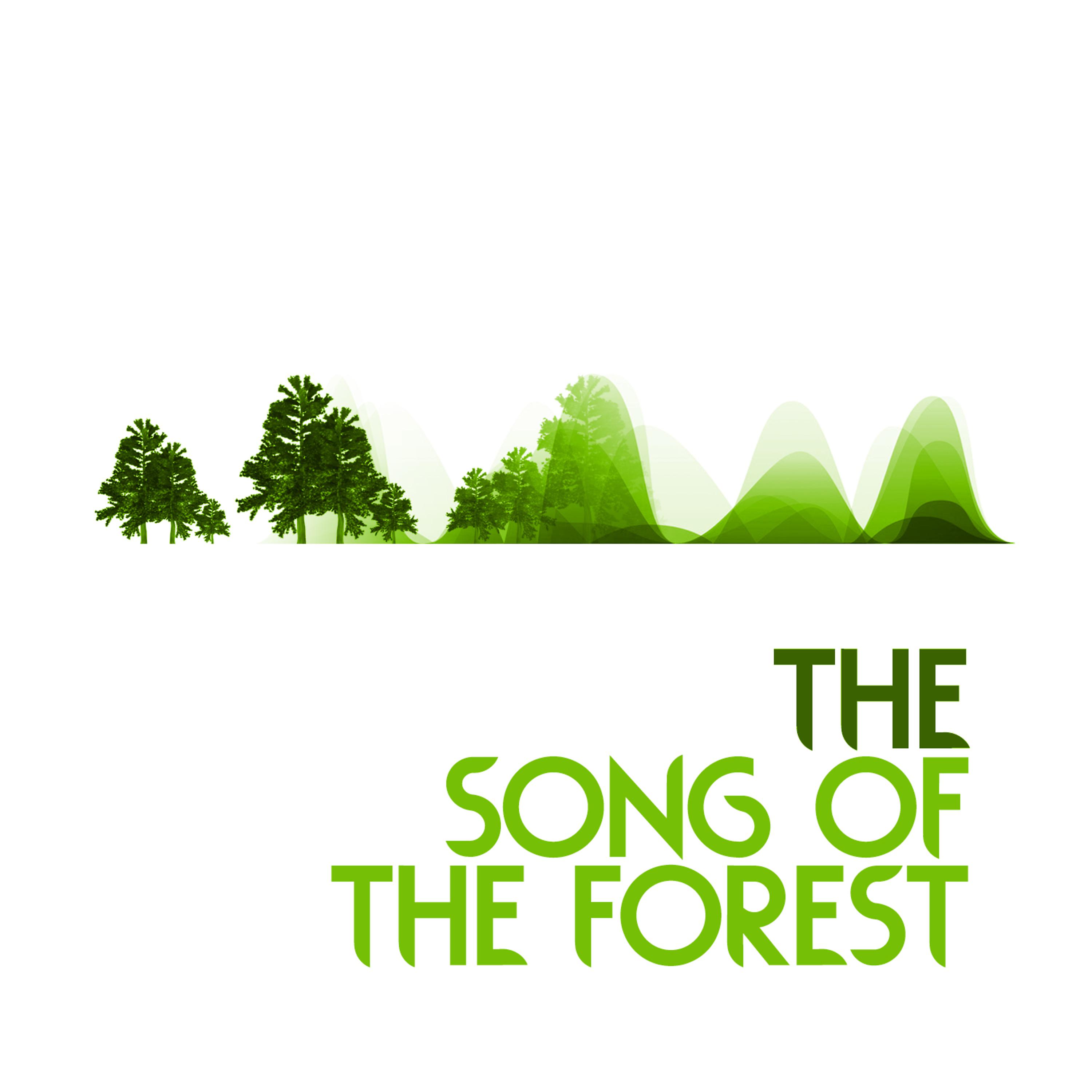 Постер альбома The Song of the Forest