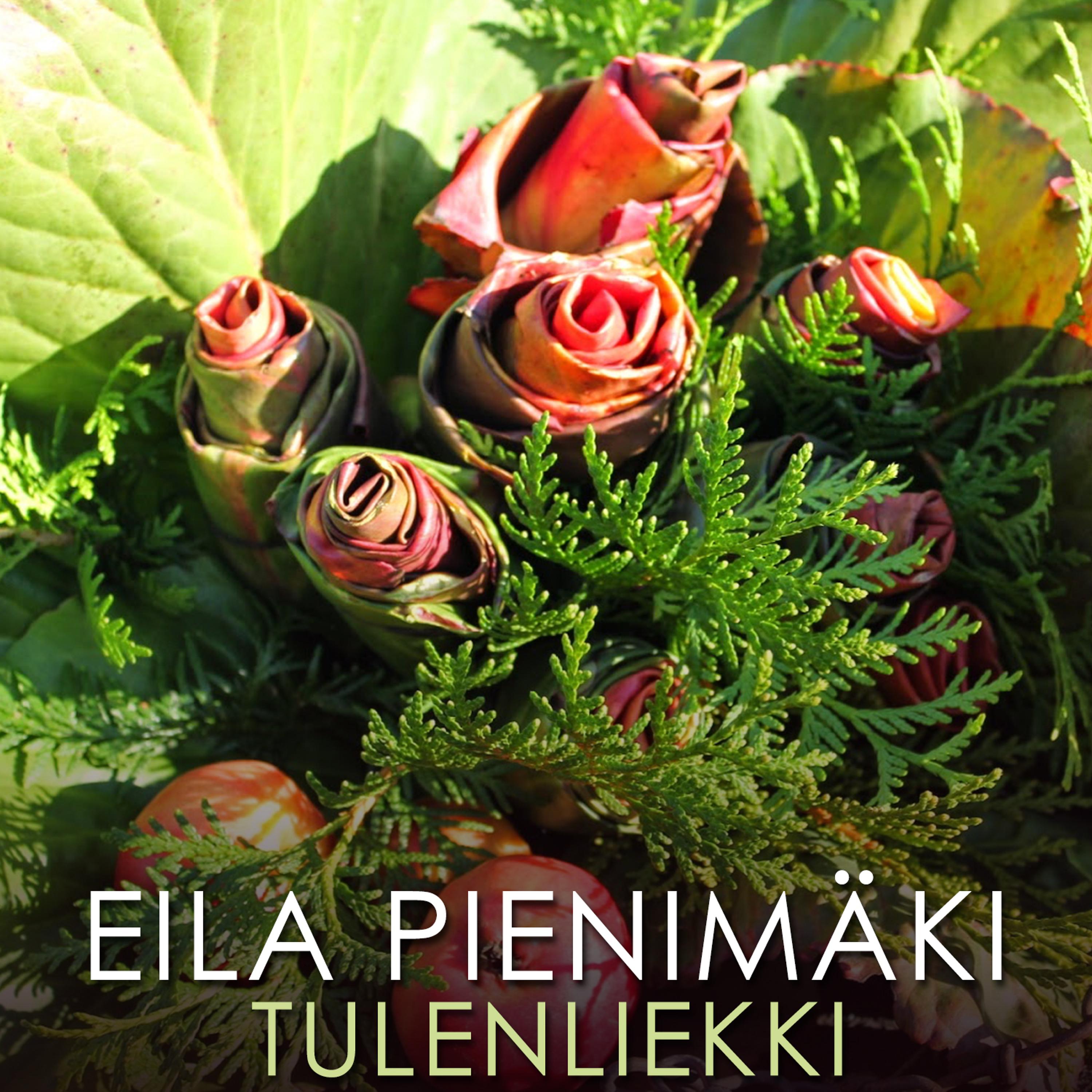 Постер альбома Tulenliekki
