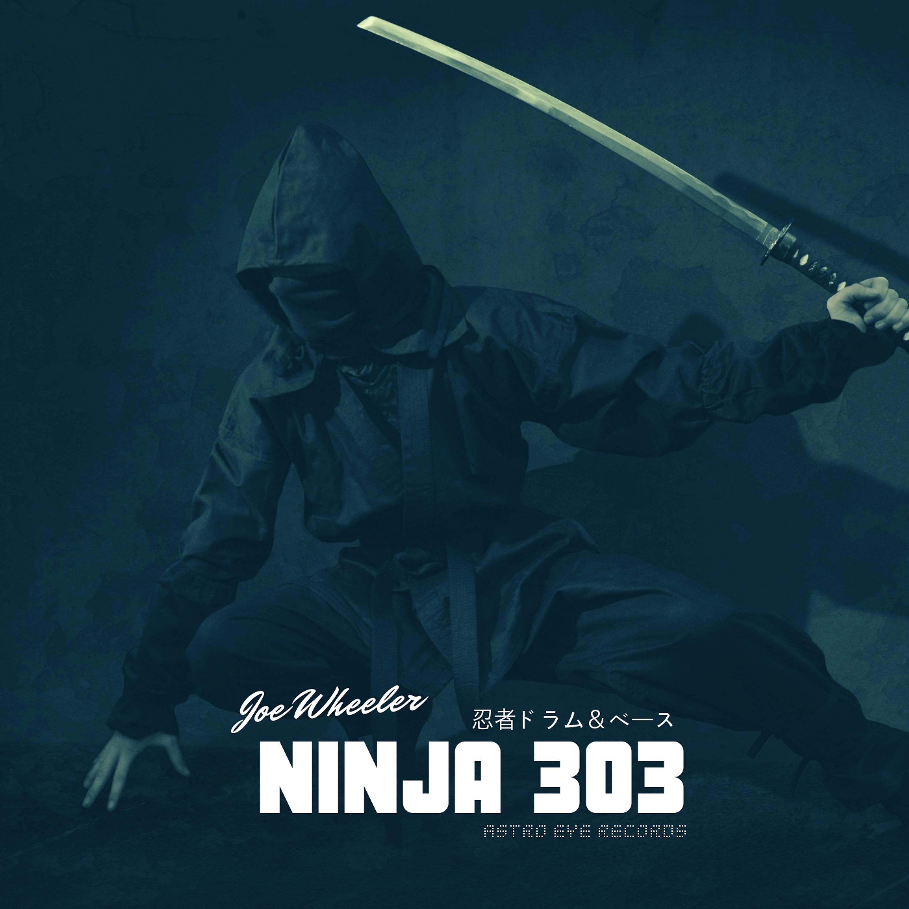 Постер альбома Ninja 303