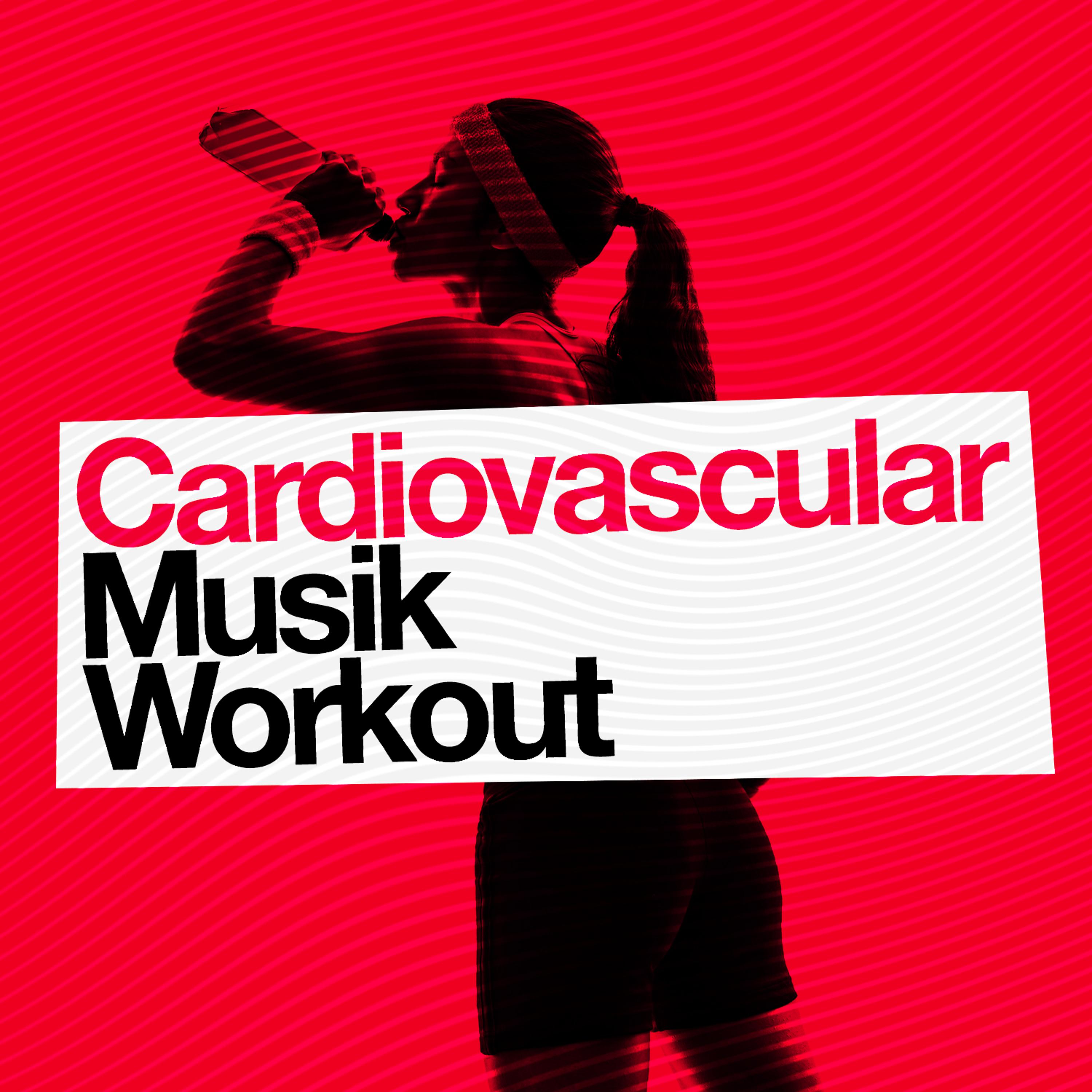 Постер альбома Cardiovascular Musik Workout