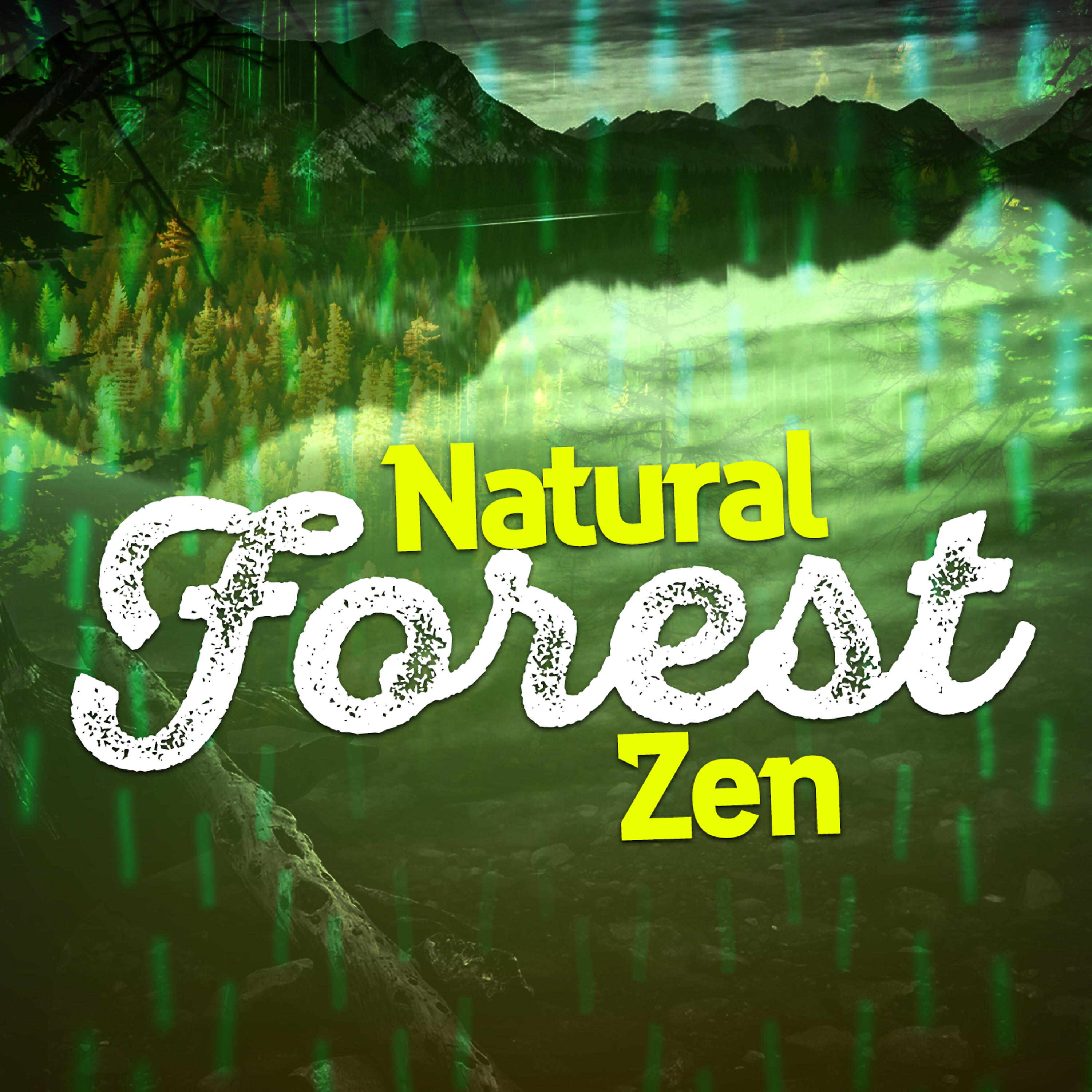 Natural Forest Sounds - Jackdaw Creek