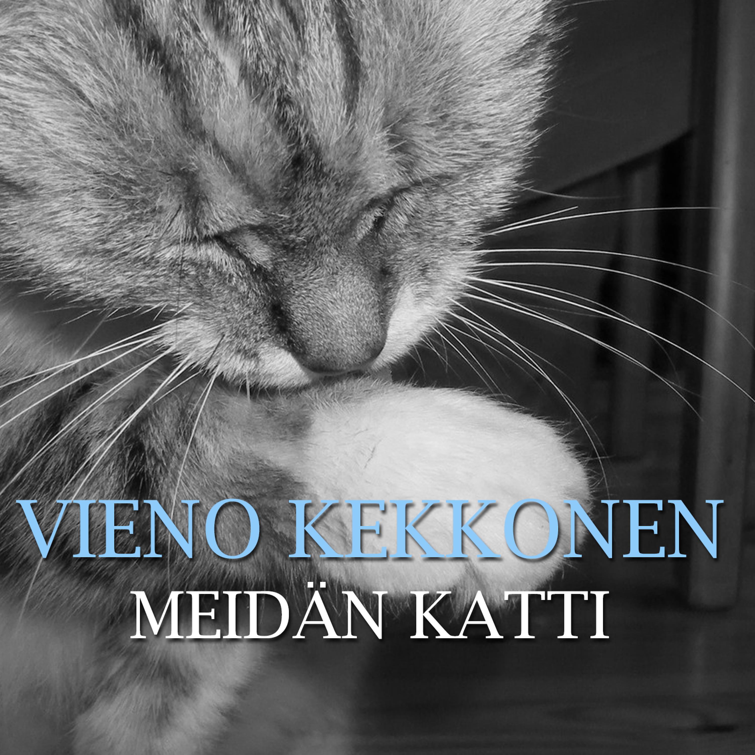 Постер альбома Meidän Katti