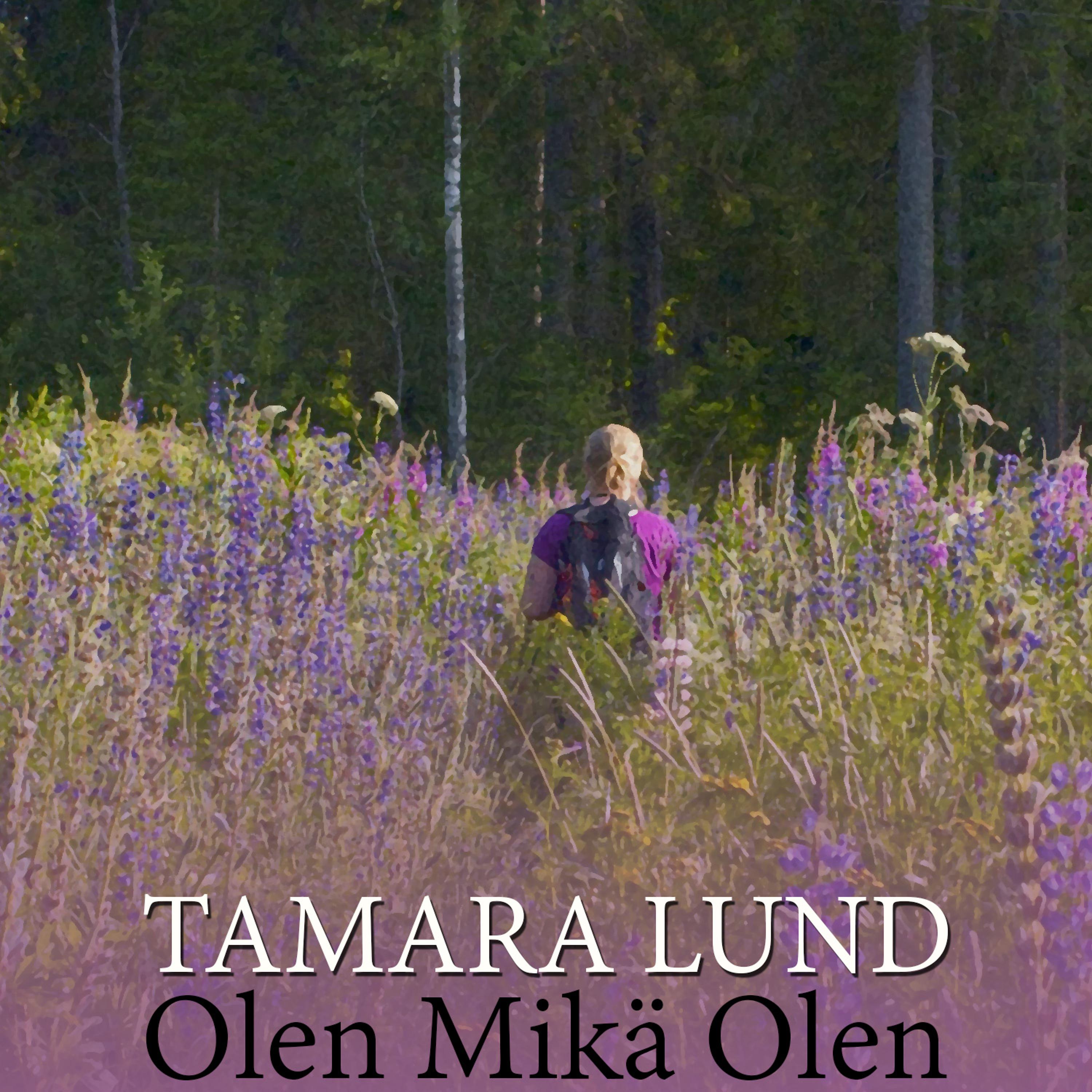 Постер альбома Olen Mikä Olen