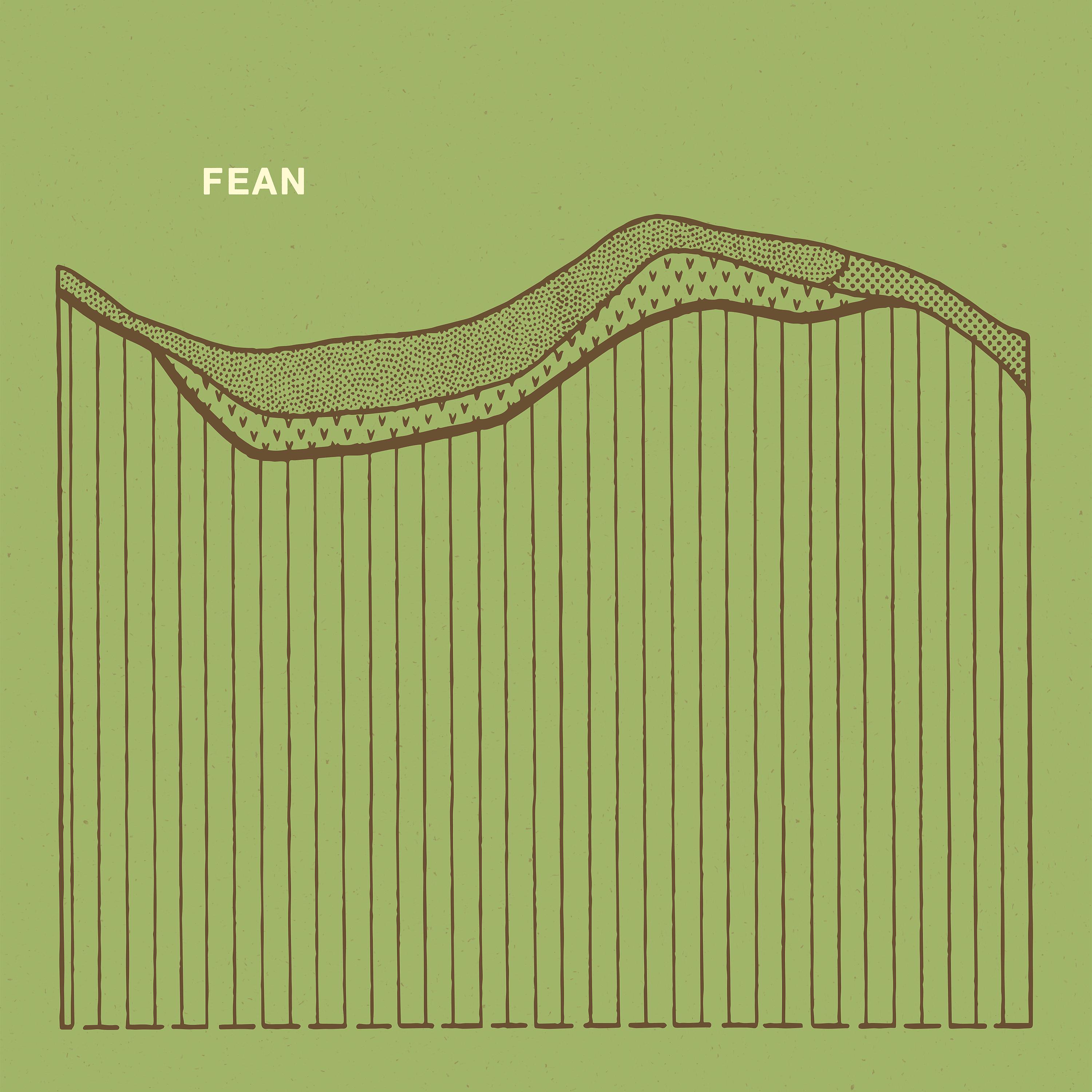 Постер альбома FEAN