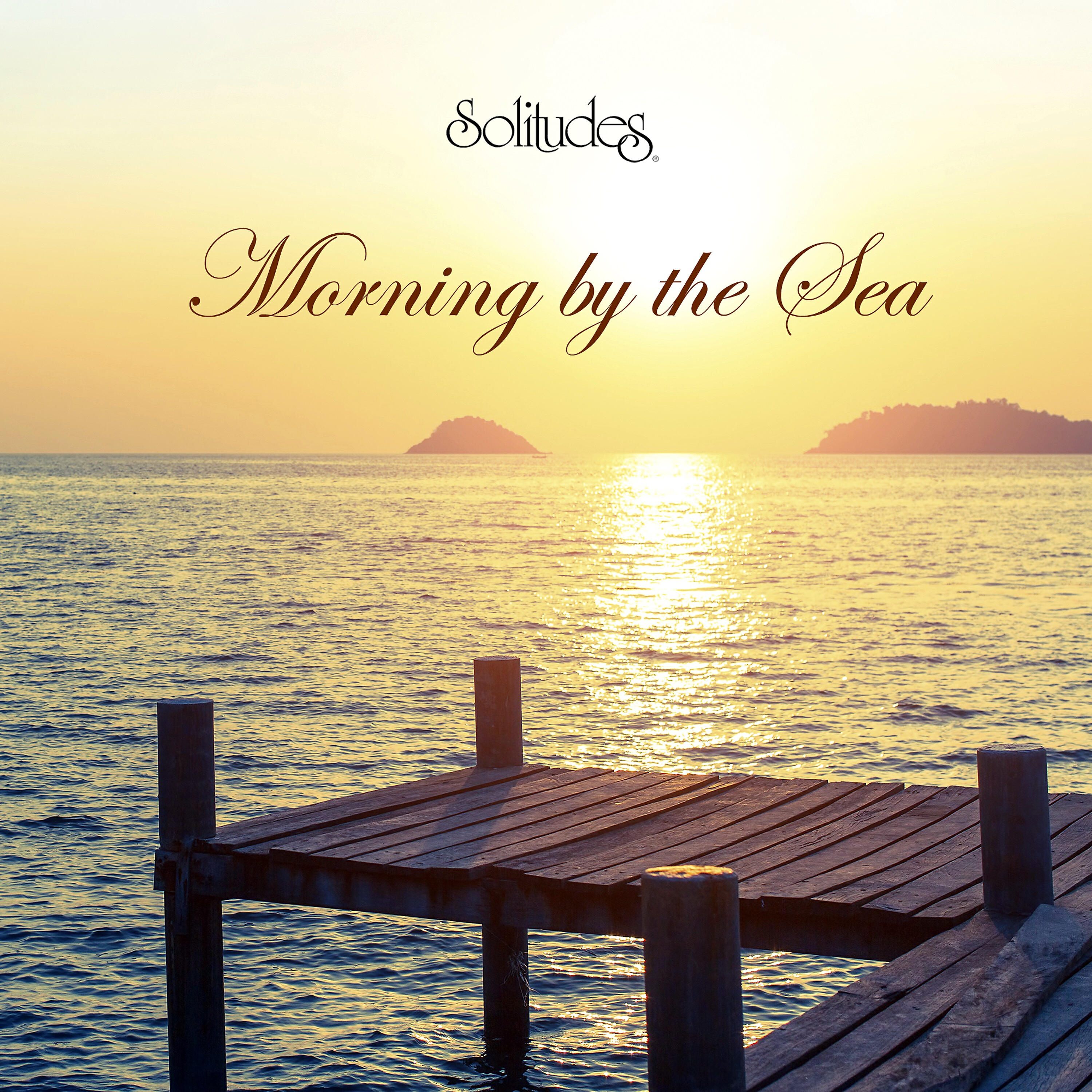Dan Gibson's Solitudes - Gliding Through the Waves