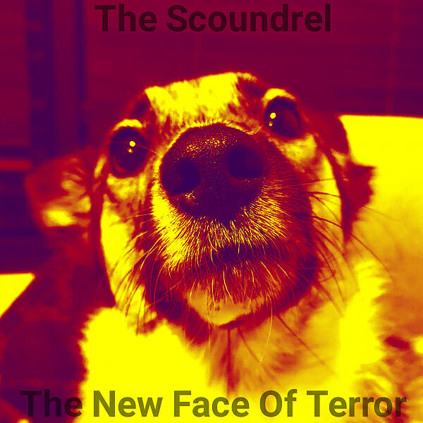 The Scoundrel - Precarious