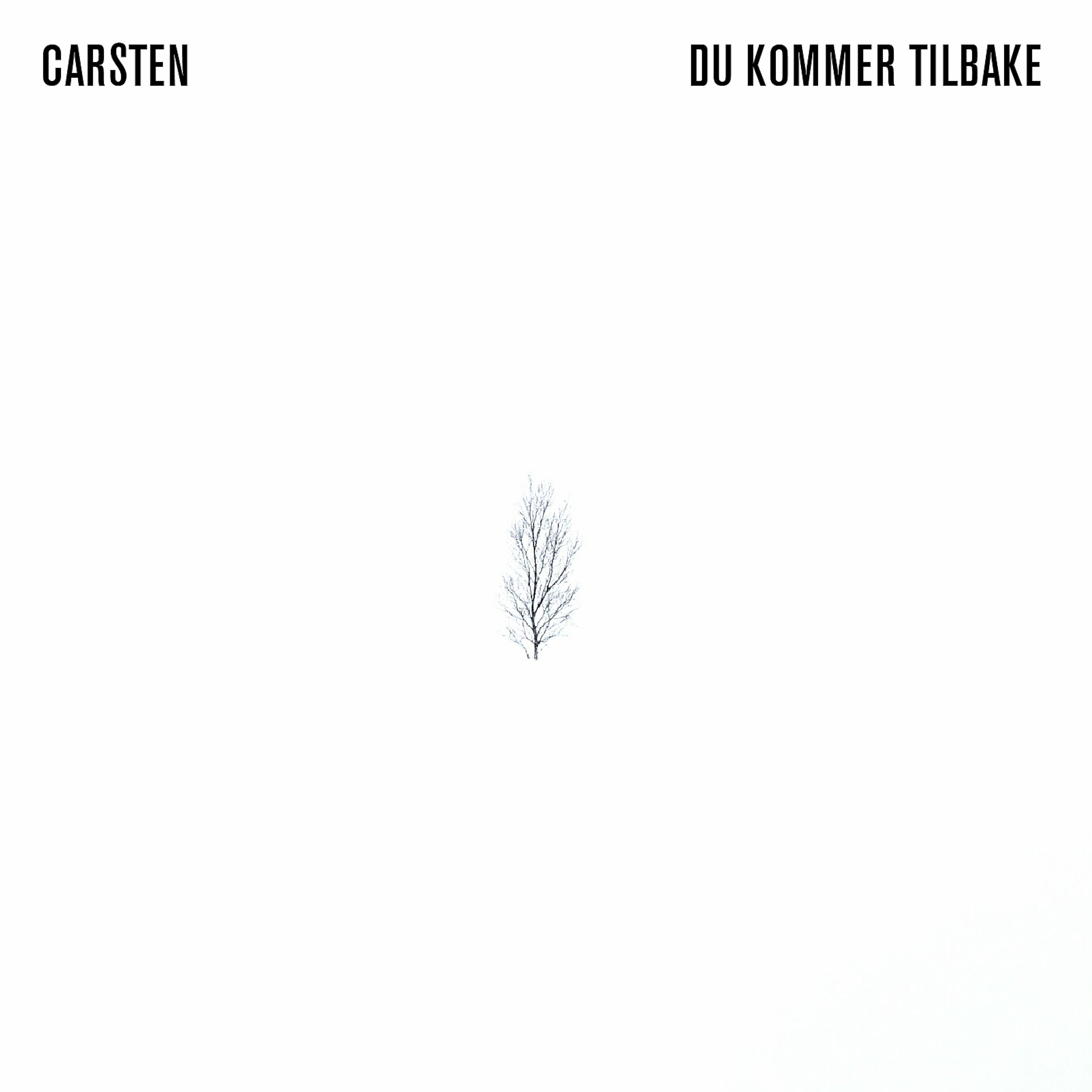 Постер альбома Du Kommer Tilbake