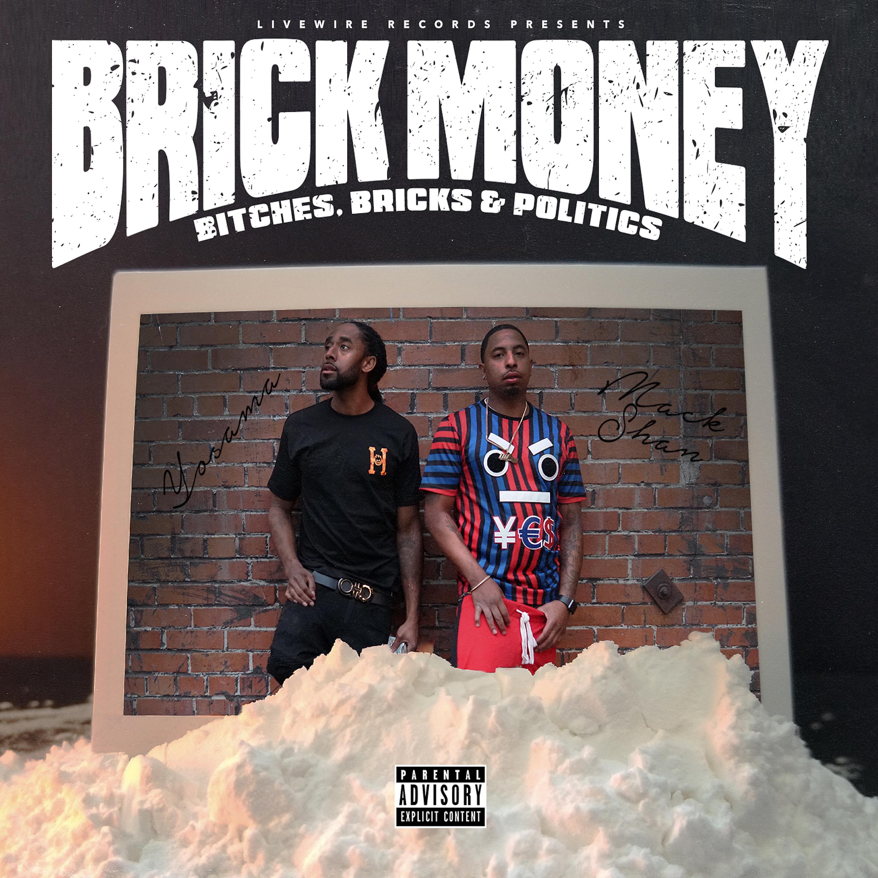Постер альбома Brick Money: Bitches, Bricks & Politics