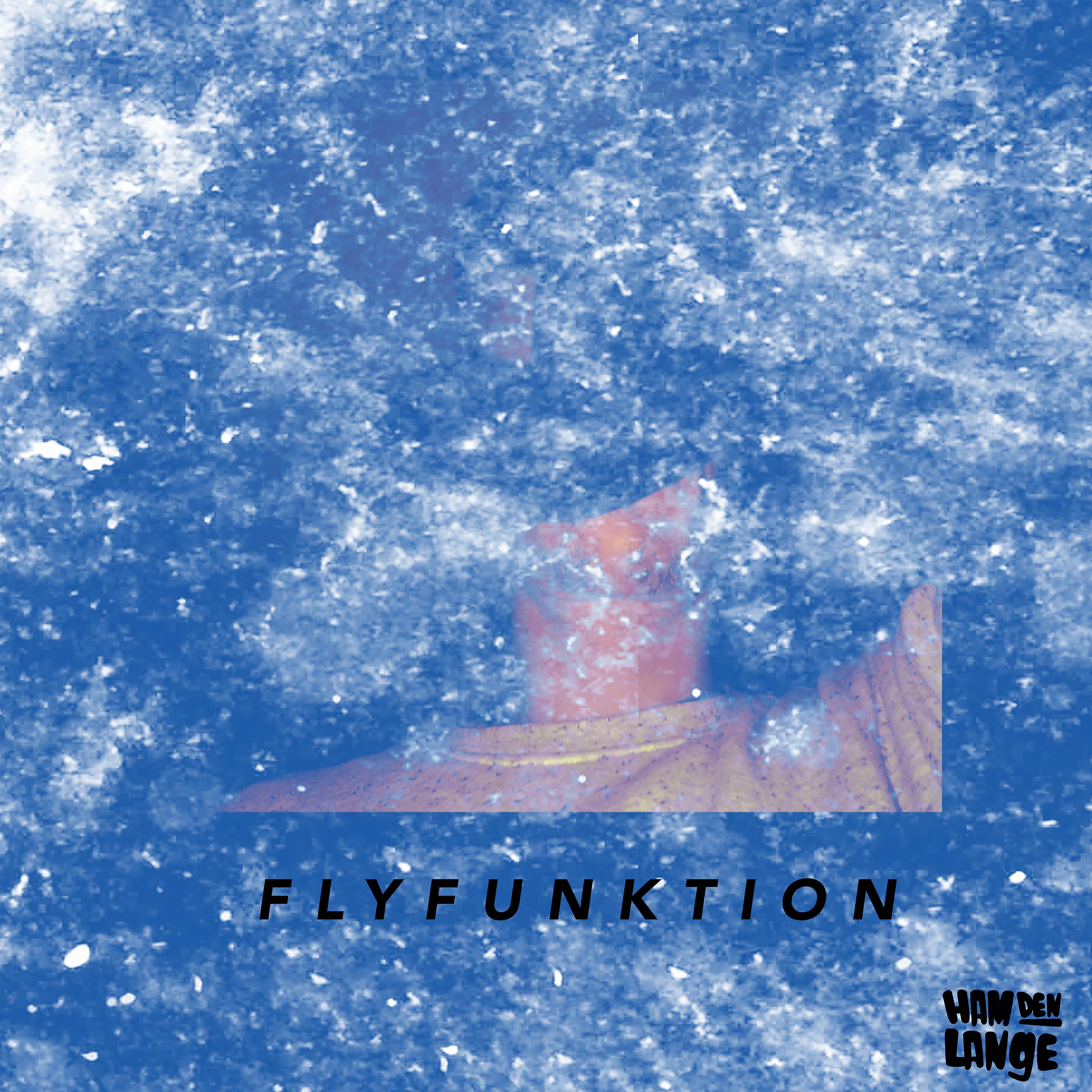 Постер альбома Flyfunktion